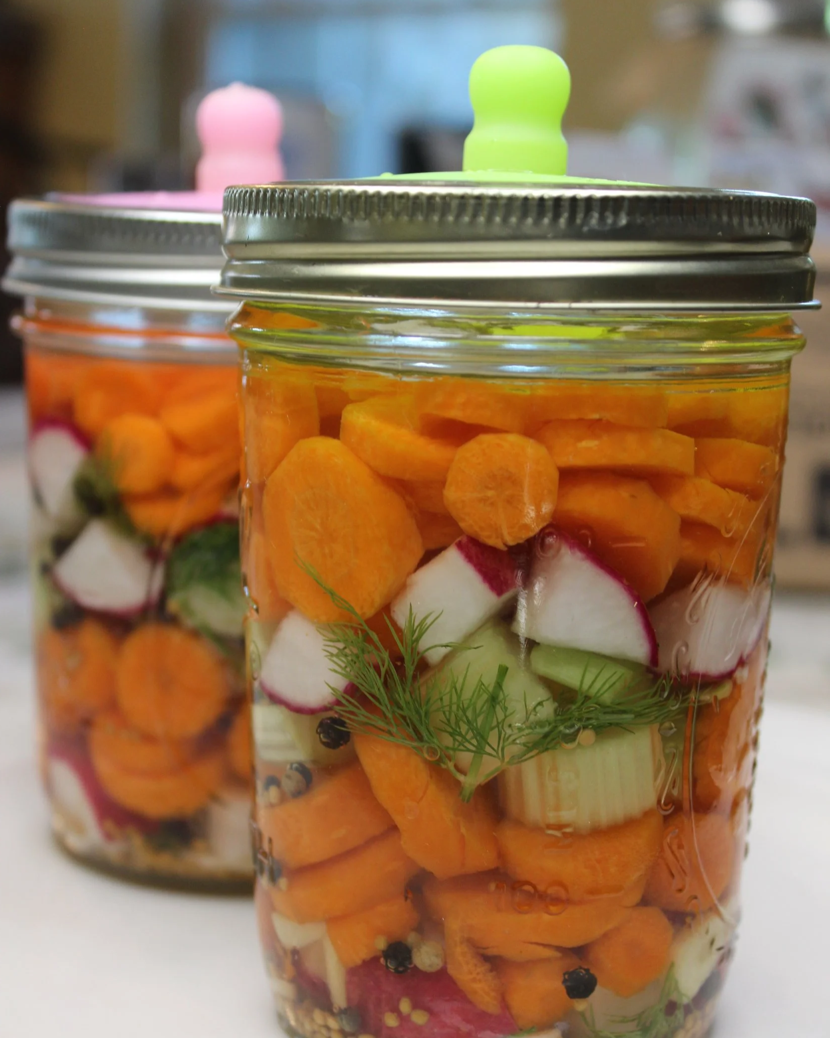 Lacto-Fermented Dilled Garden Vegetables