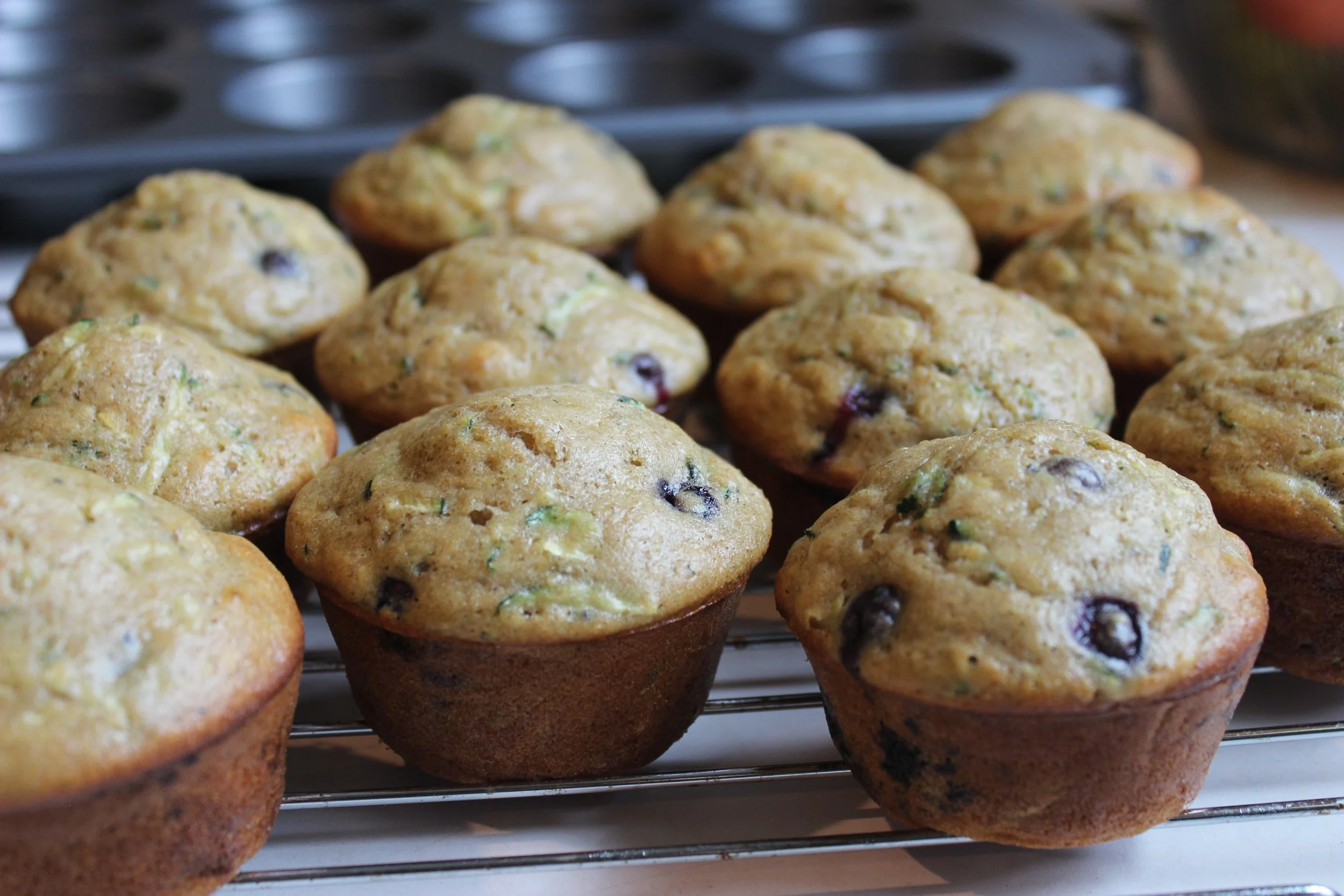 Blueberry Zucchini Protein Muffins