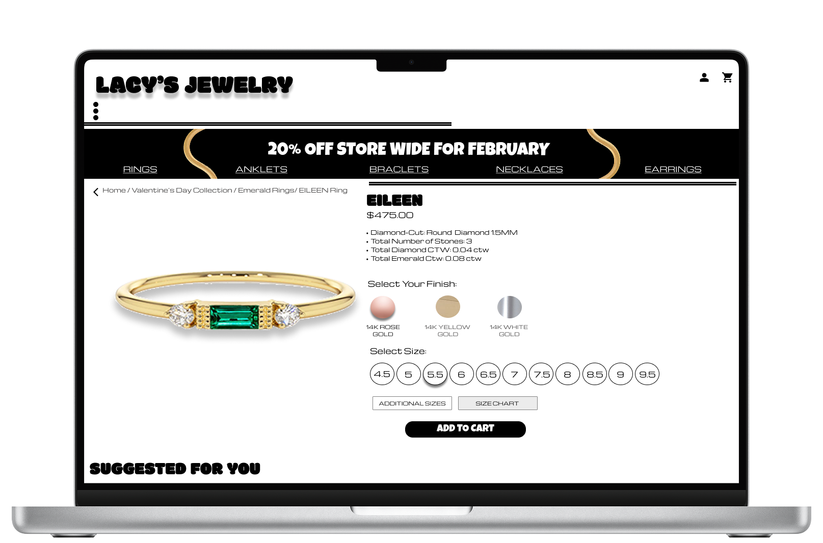 MacBook Pro 16_ - 5th Gen - Silver-1.png