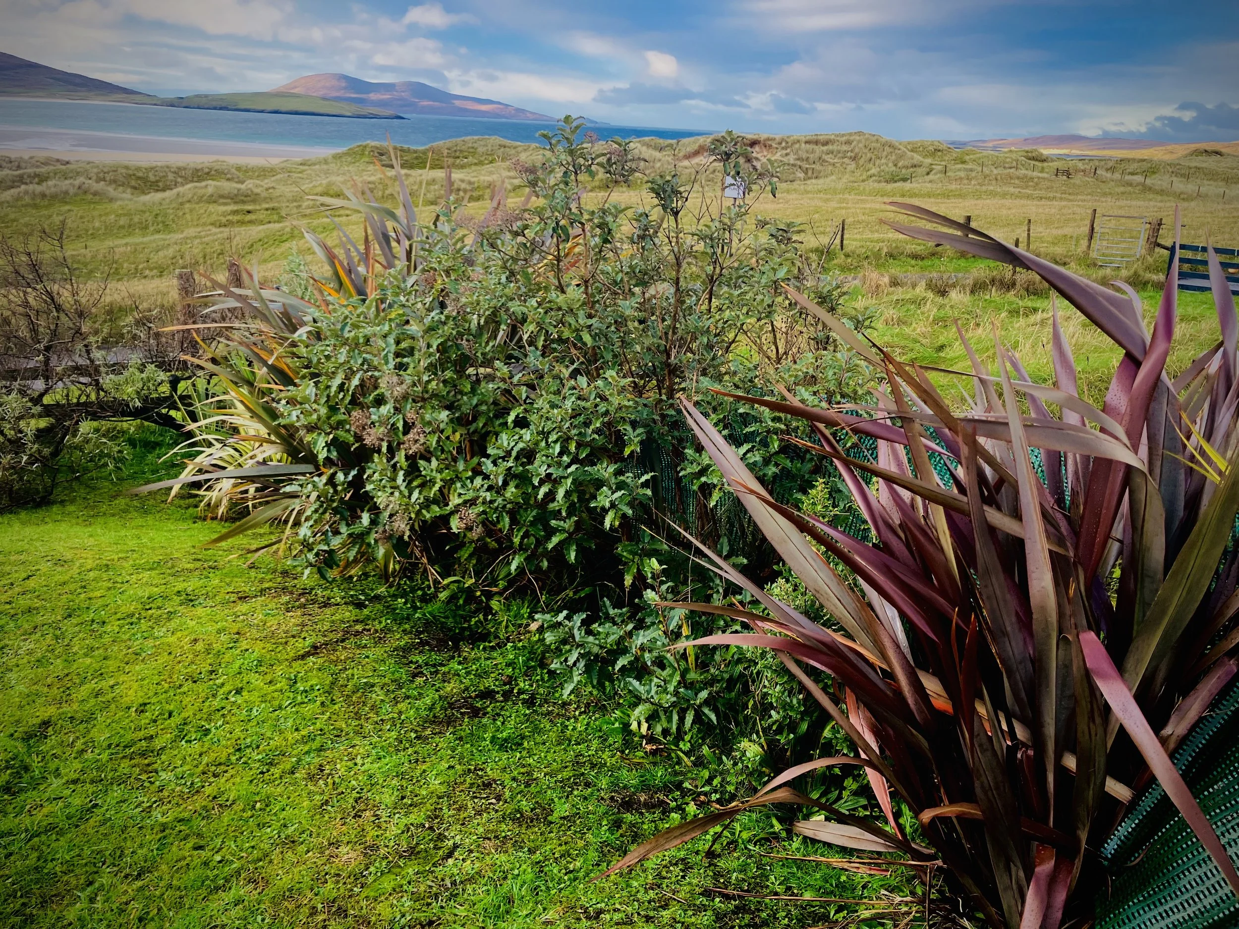 Beach View from garden