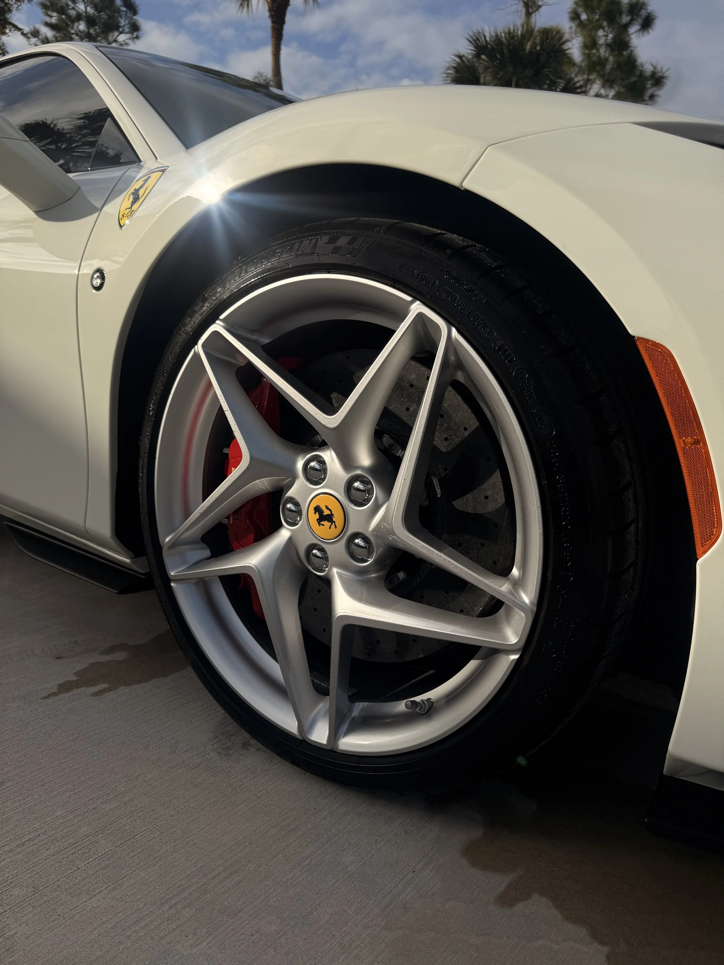 Premium Detailing in Naples FL mobile service