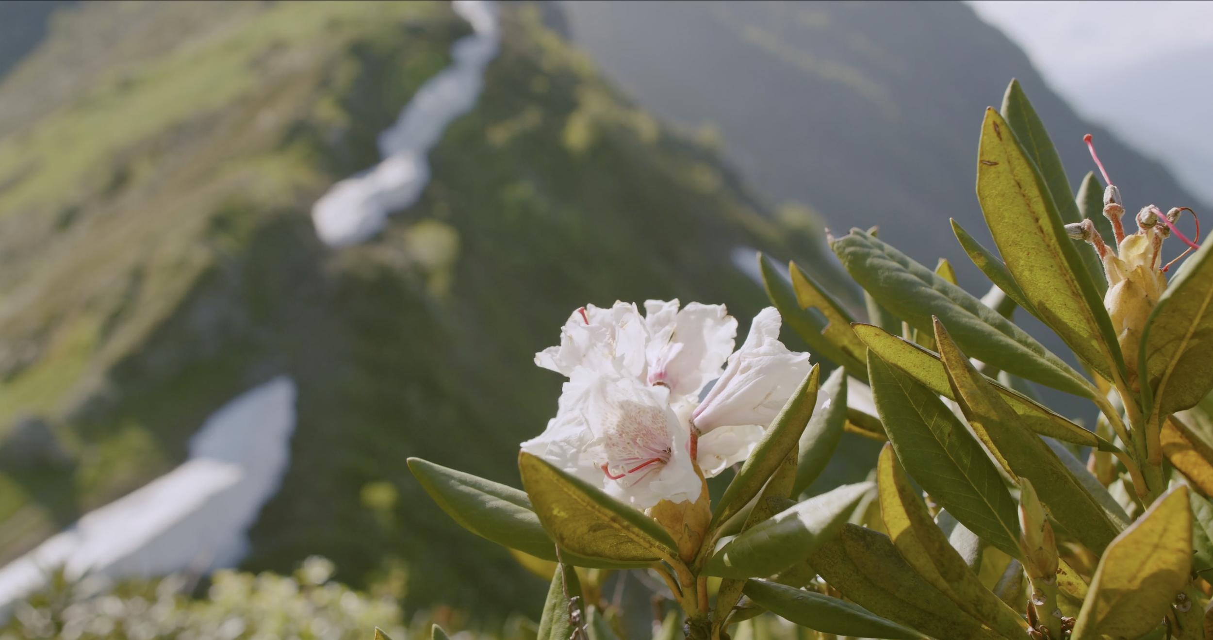 Screen Shot 2024-08-24 at 2.47.15 PM.png