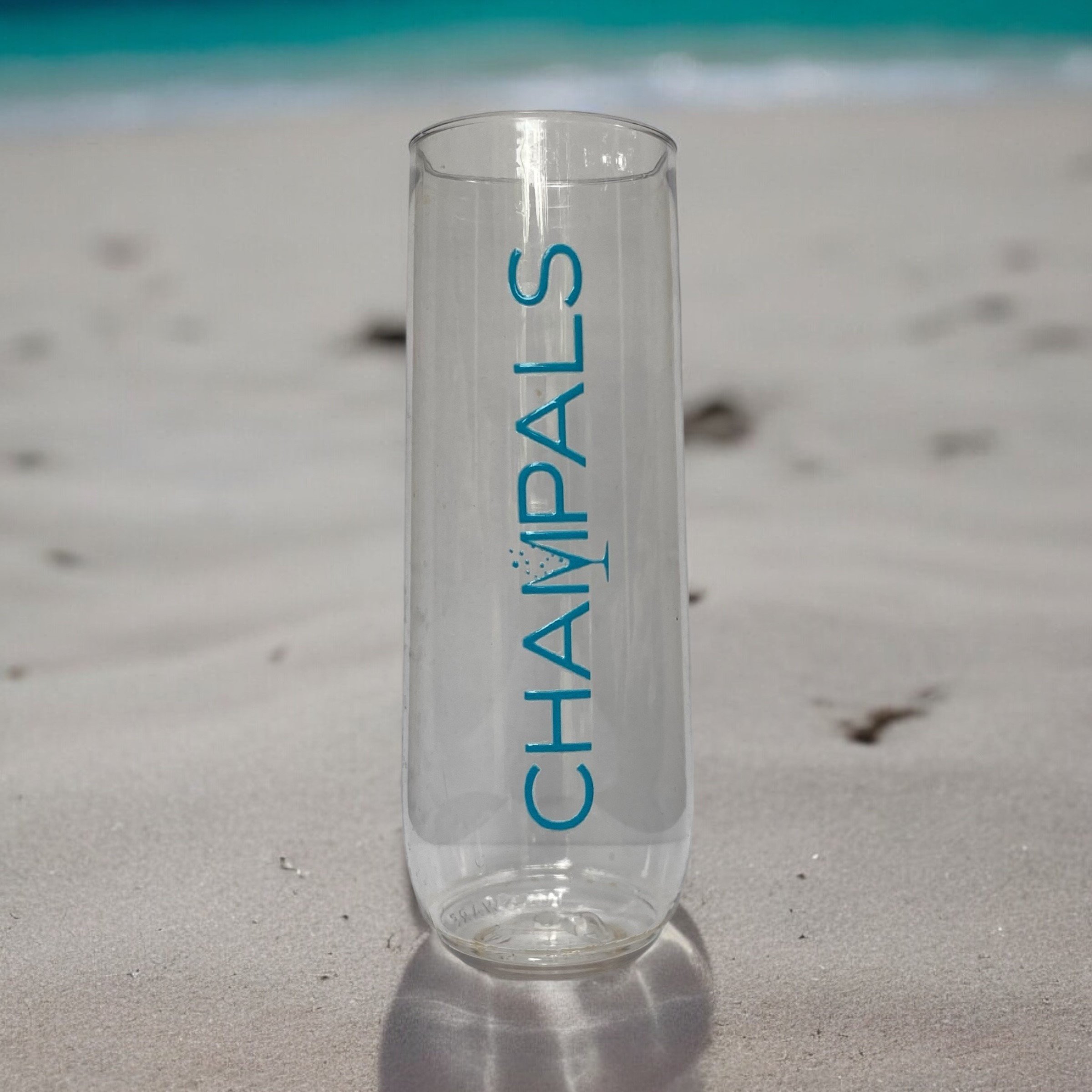 Champagne Flutes Plastic (Set of 2)