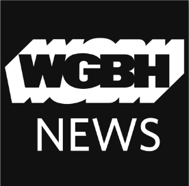 Screenshot 2024-08-16 at 11.32.00 AM.png