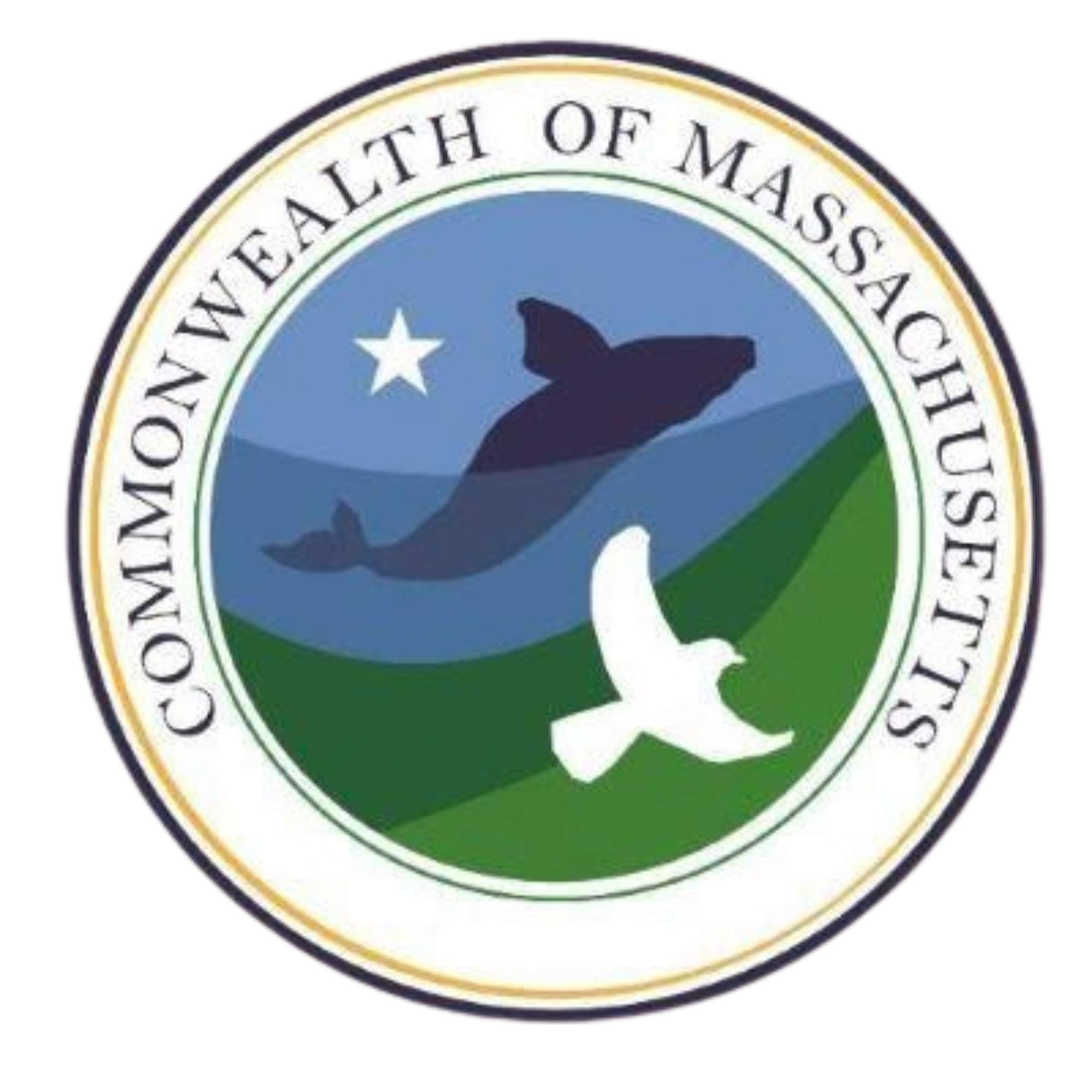 11.png