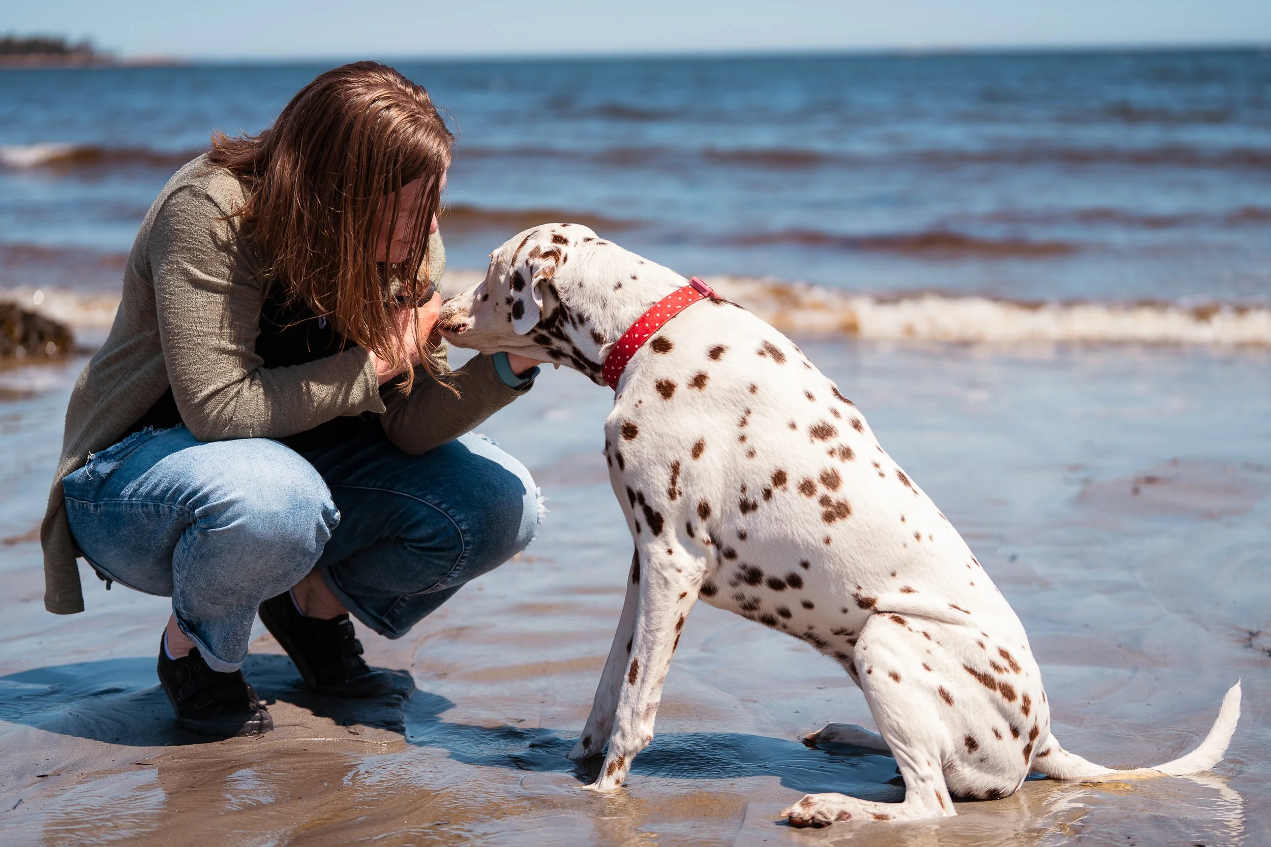 Woman and Dalmatian during relaxed vacation pet photography session in Maine