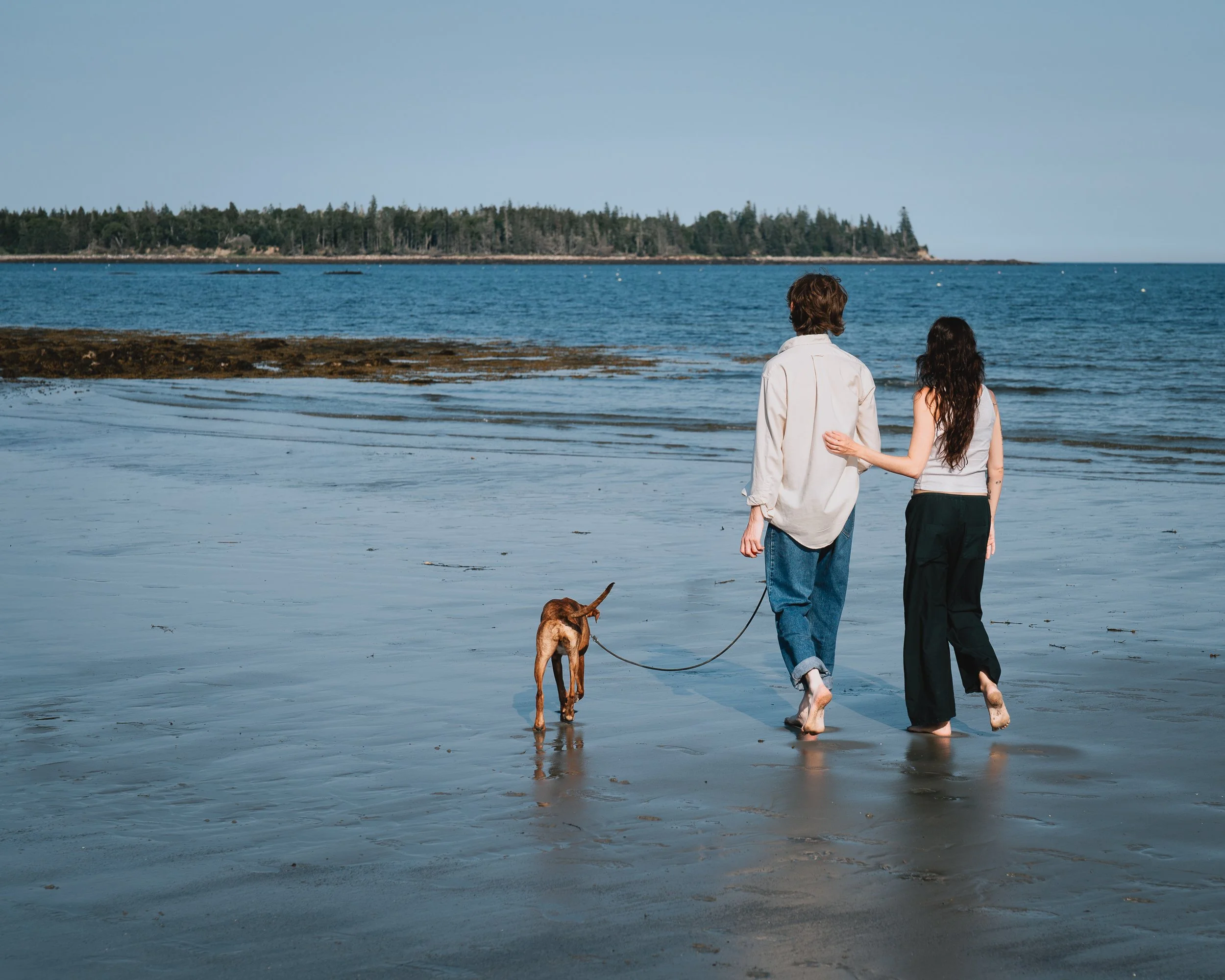 A man and woman walking on the beach with their dog, overlooking the ocean with a forested island in the background.