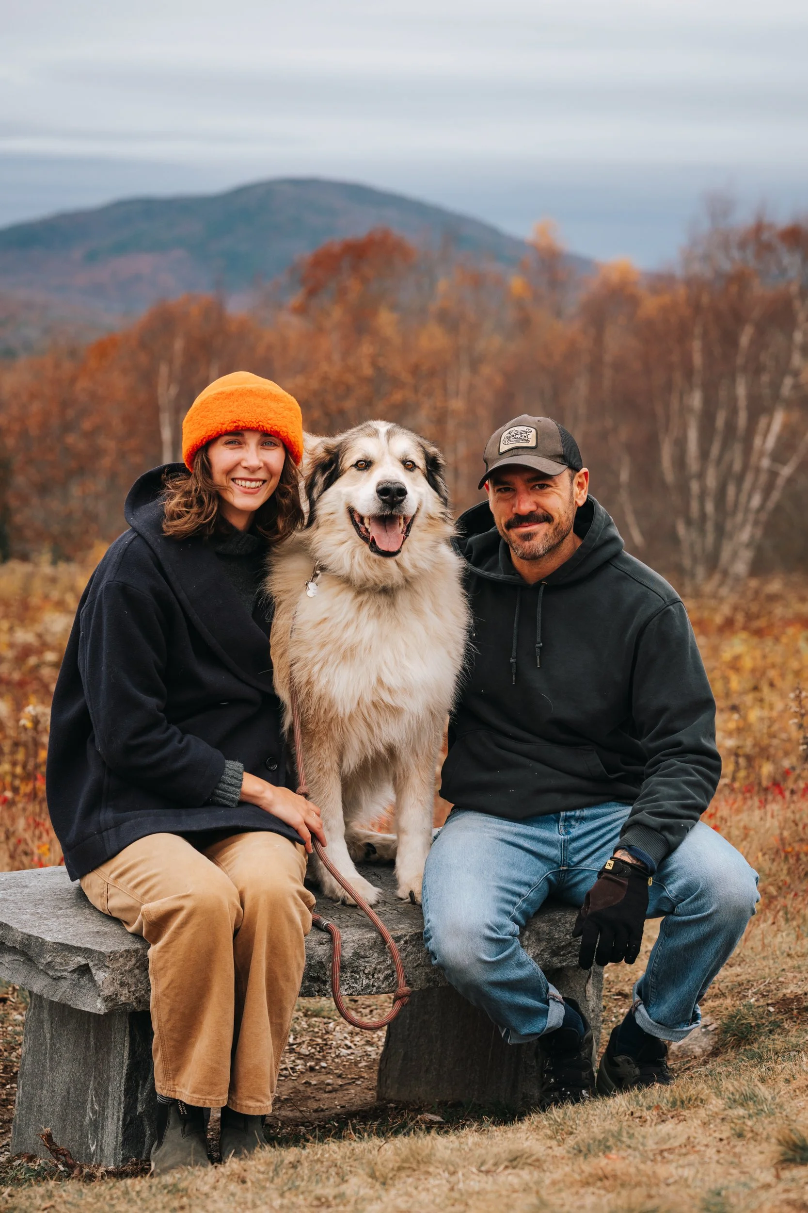a dog and his family at beech hill preserve Rockport maine midcoast dog, family, pet photographer photography