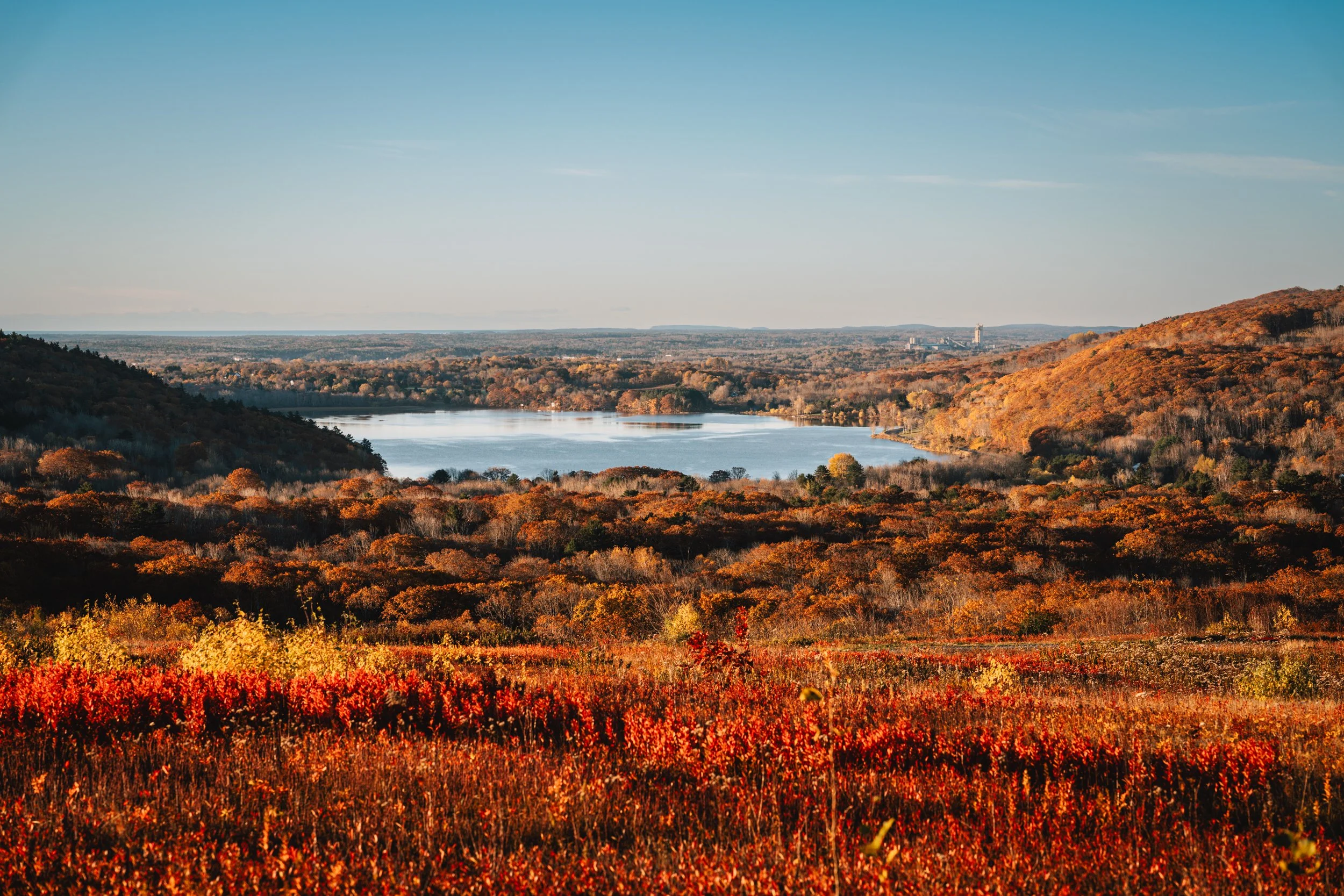 all foliage and Chickawaukie Lake viewed from Beech Hill Preserve in Rockport, Maine.