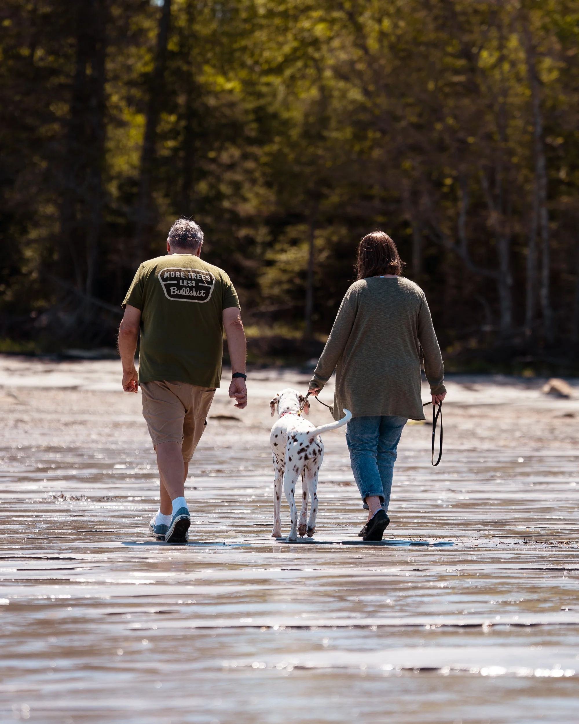 Owners and Dalmatian during relaxed vacation pet photography session in Maine