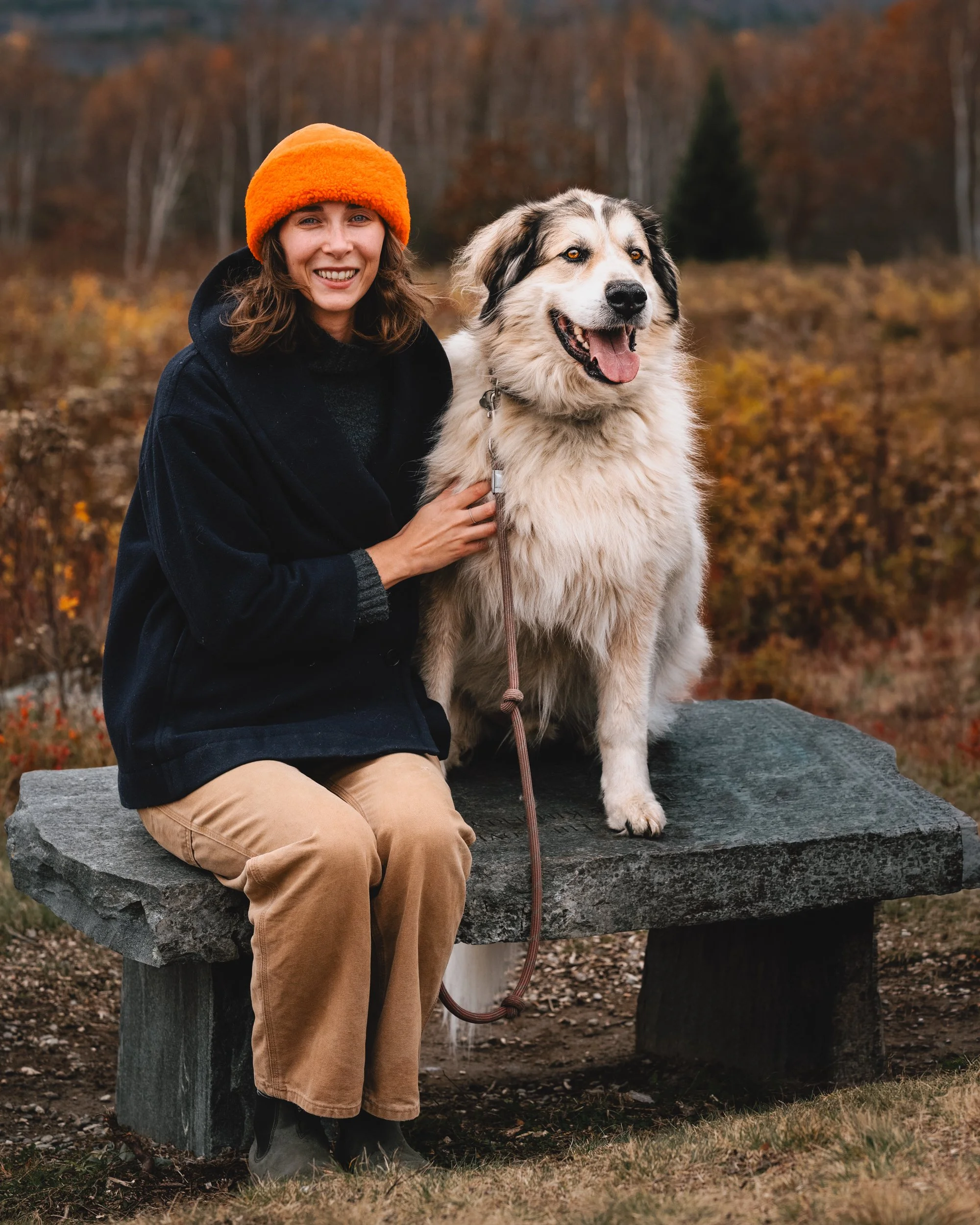 Woman sitting with her large white and gray dog on a stone bench at Beech Hill Preserve in Rockport, Maine, surrounded by fall foliage.