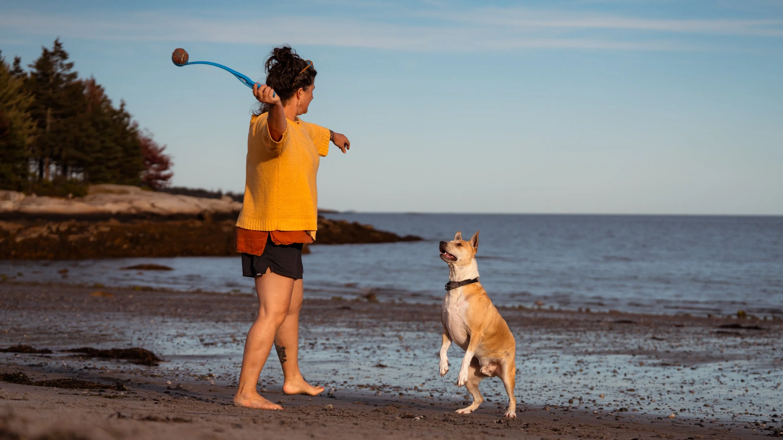 dog playing ball with his family at birch point state park maine dog pet photography Owls Head Maine Beach water