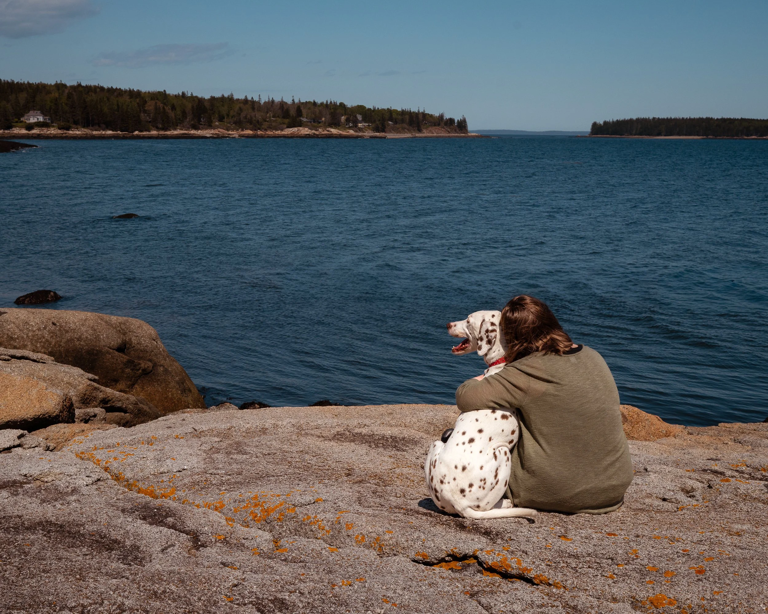 Owner hugging Dalmatian during relaxed outdoor pet session in Maine
