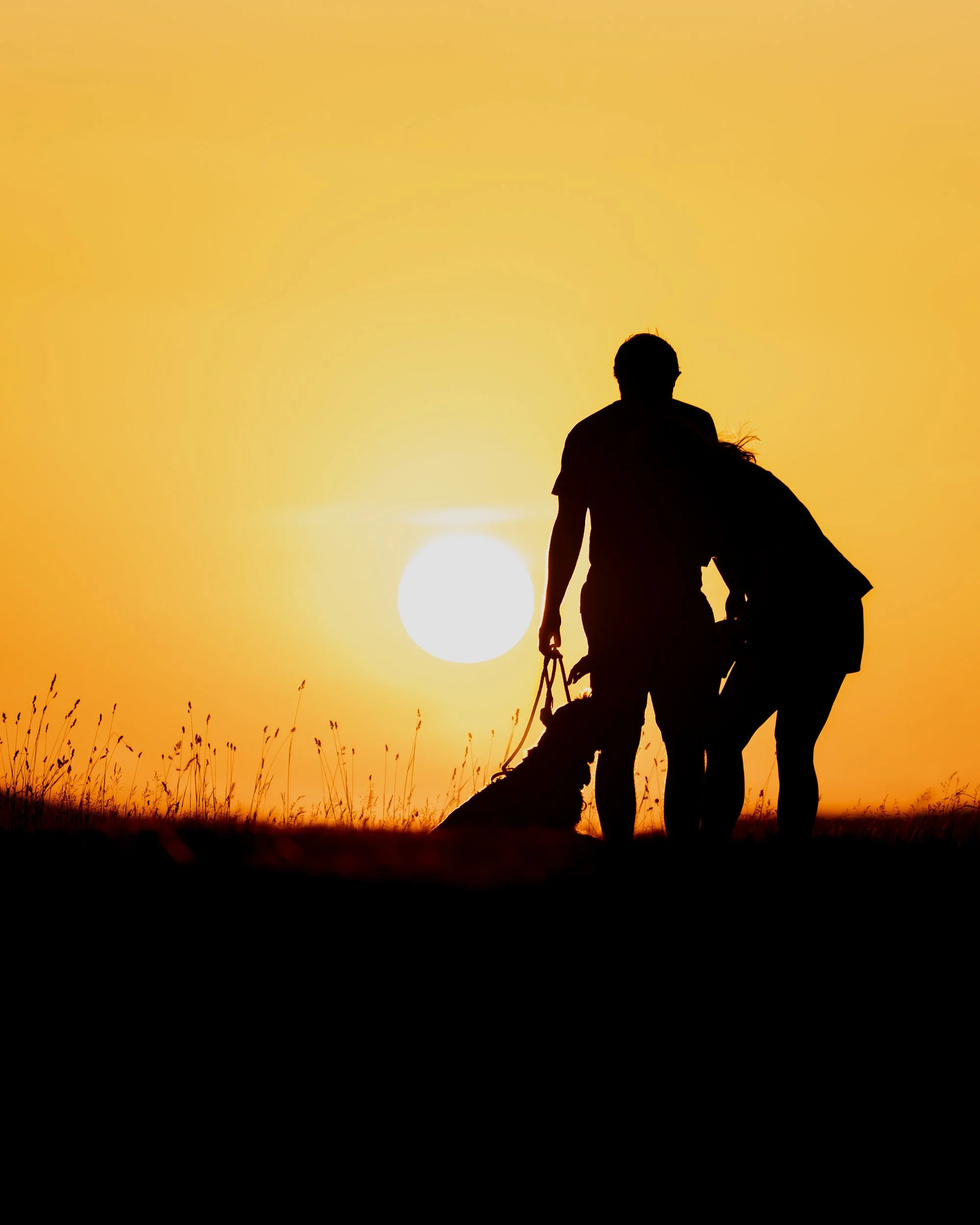 Silhouette of a person standing outdoors at sunset, next to a horse, with the sun on the horizon and a warm, orange sky.