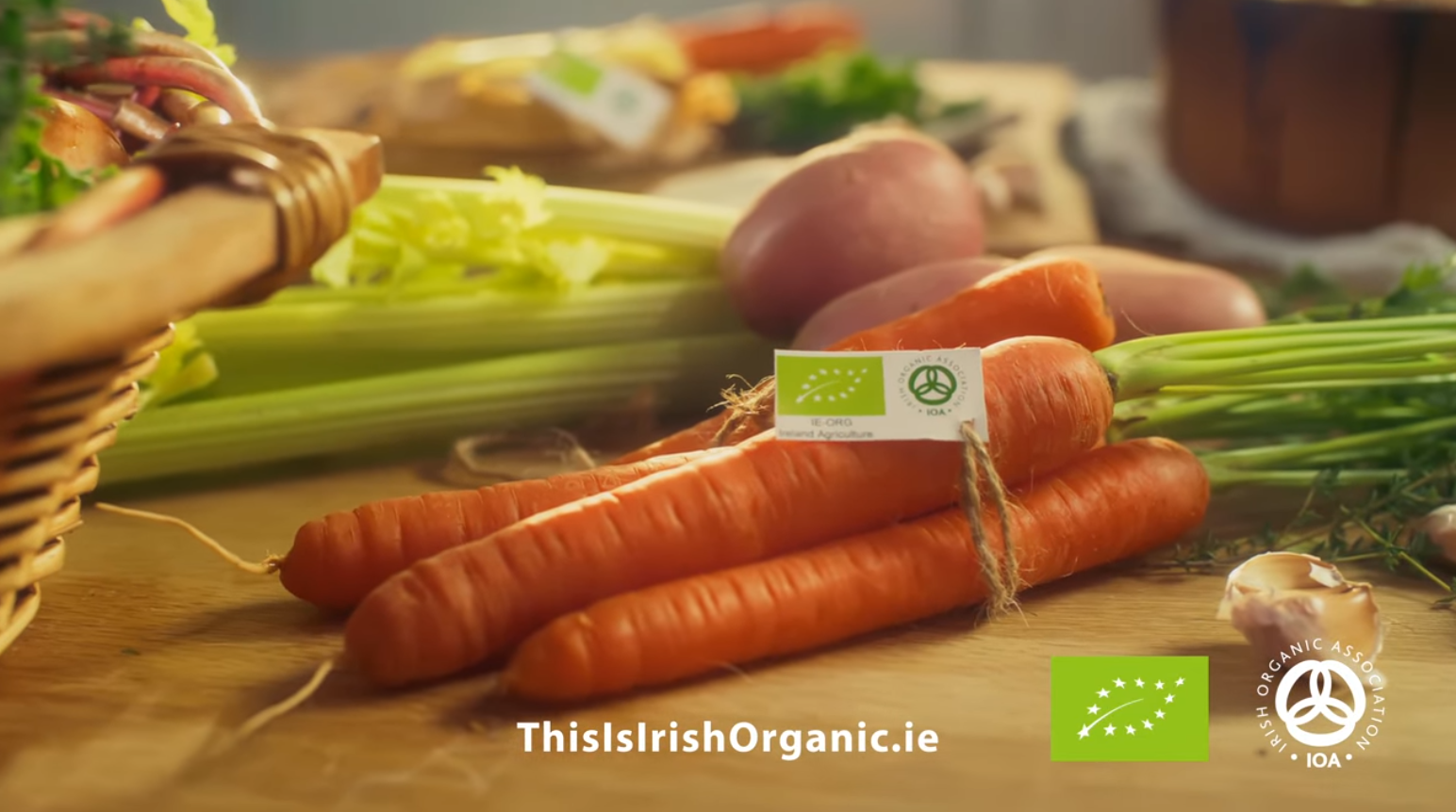 Irish Organic Association 