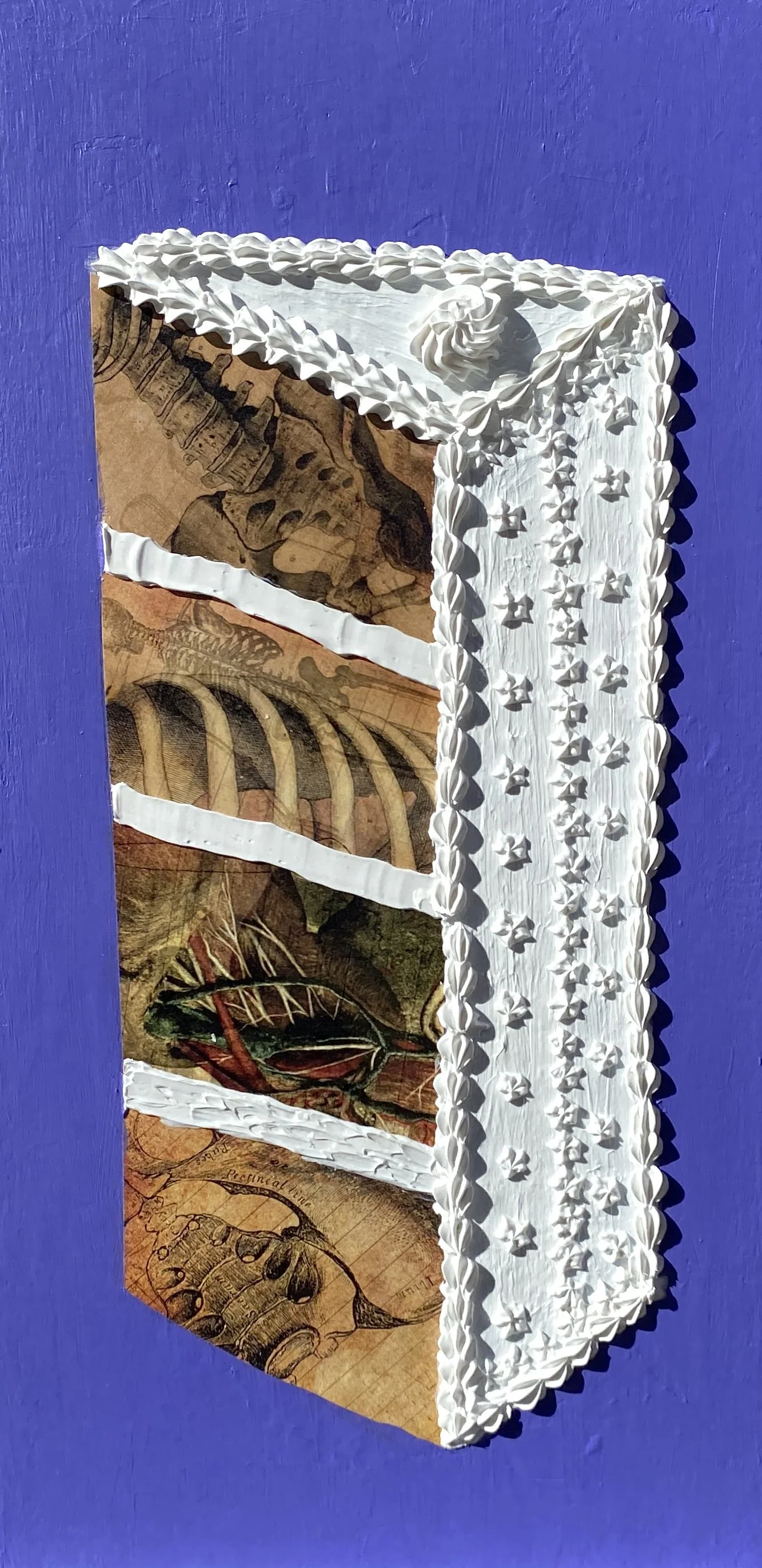 Innards (6"x12" mixed media on wood panel) $40