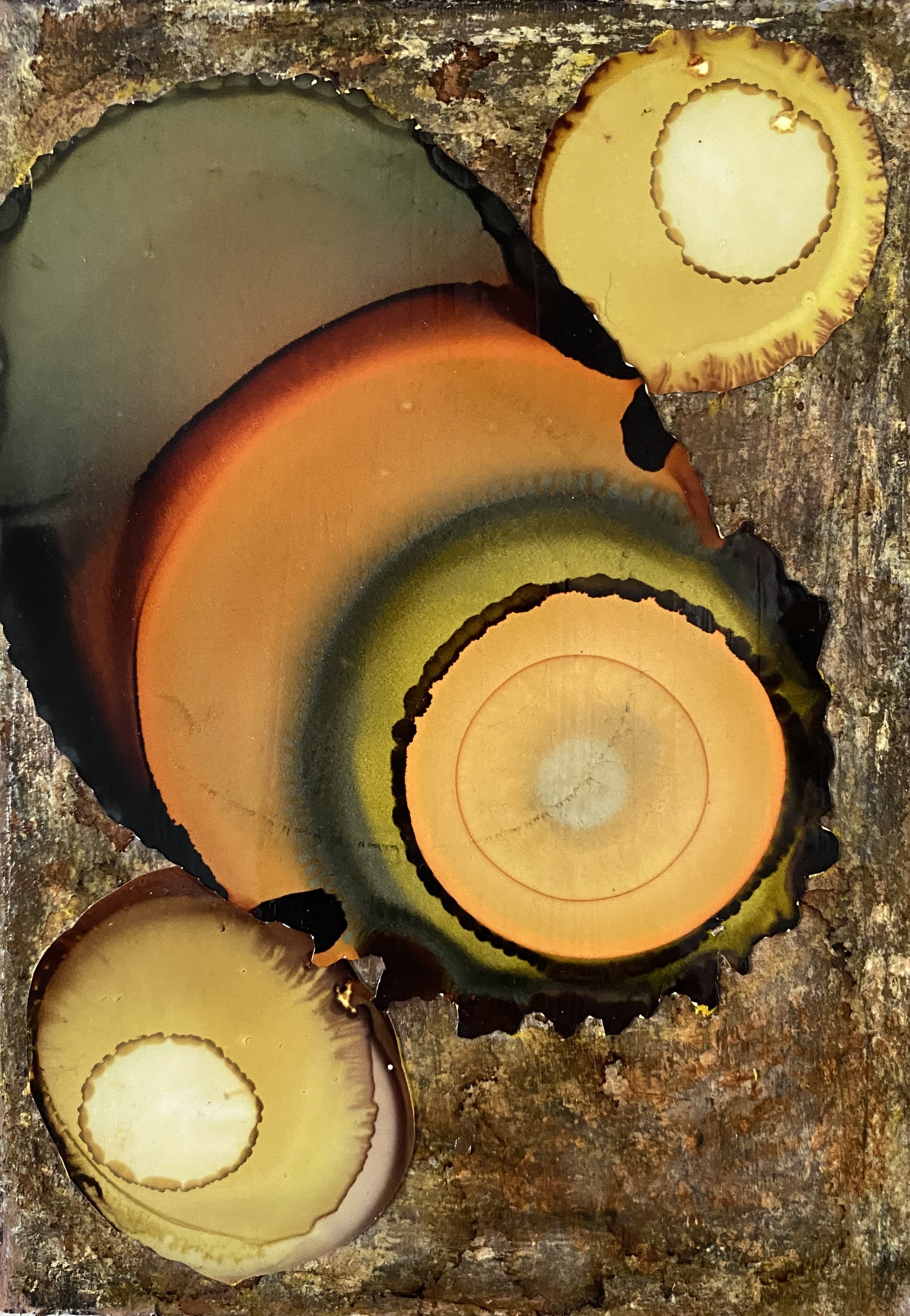 MMC: Worm Holes (5"x7") $30