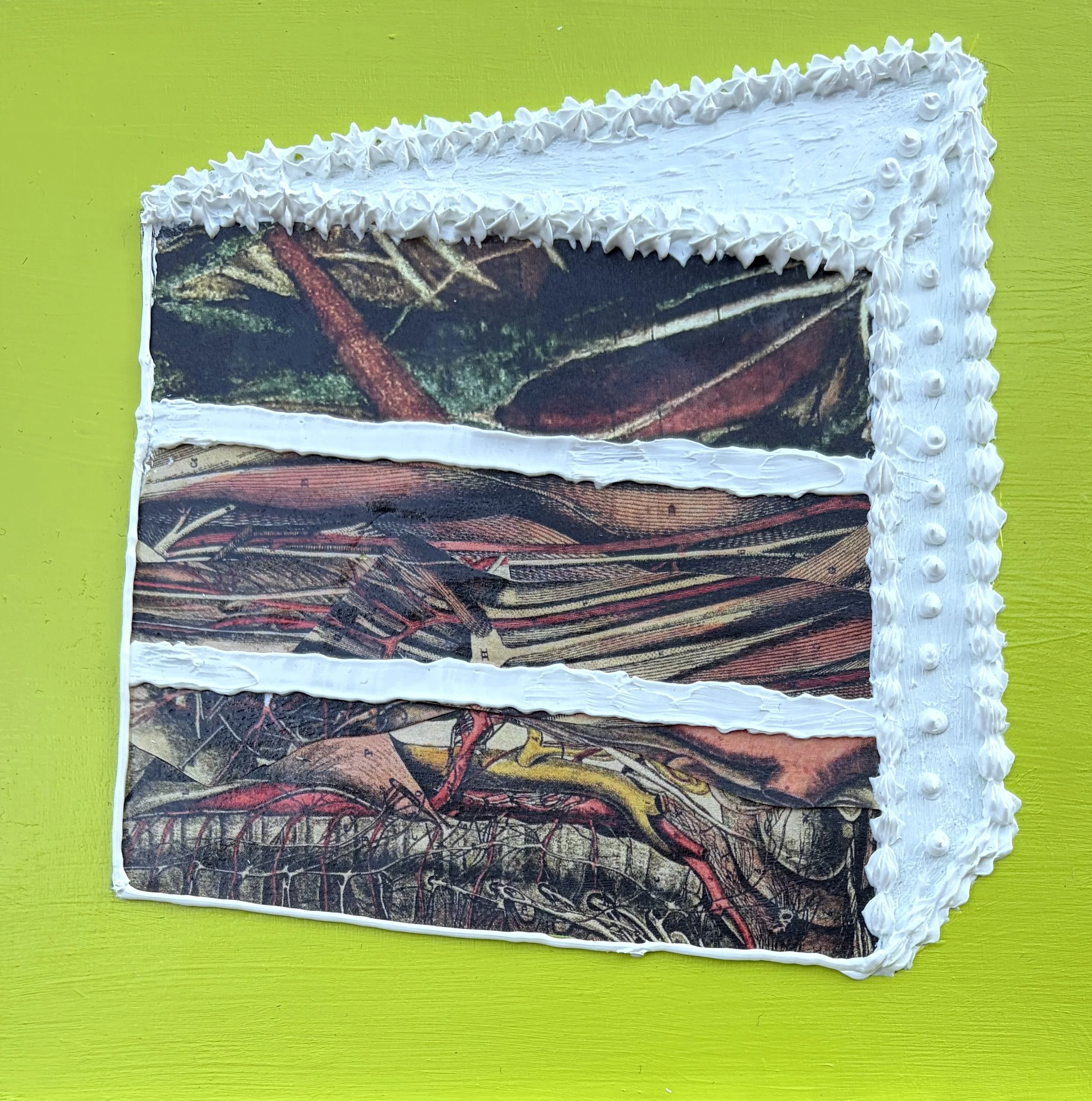 Sweet Anatomy (6"x6"x.75" mixed media on wood panel) $35