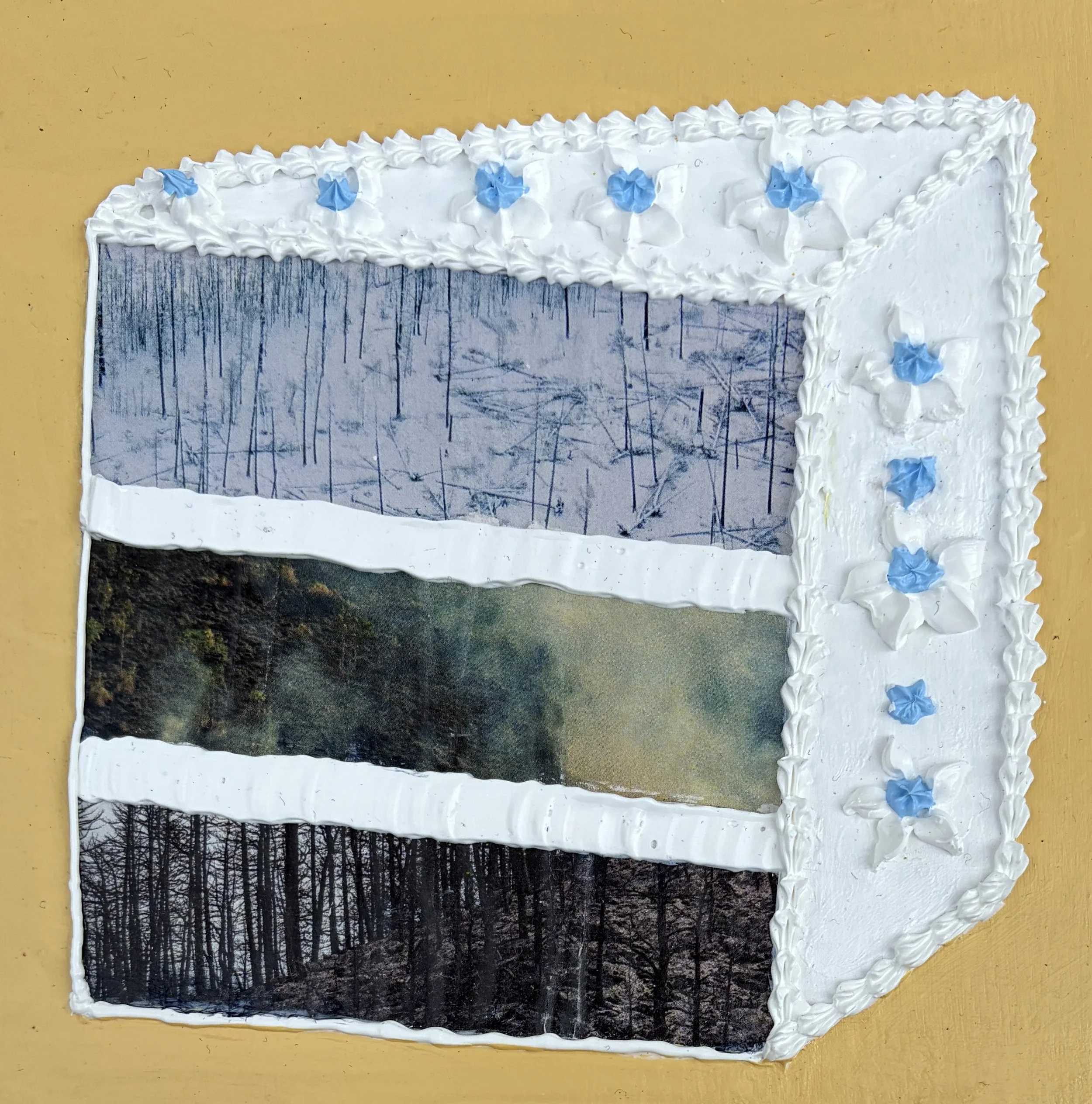 Silence (6"x6"x.75" mixed media on wood panel) $35
