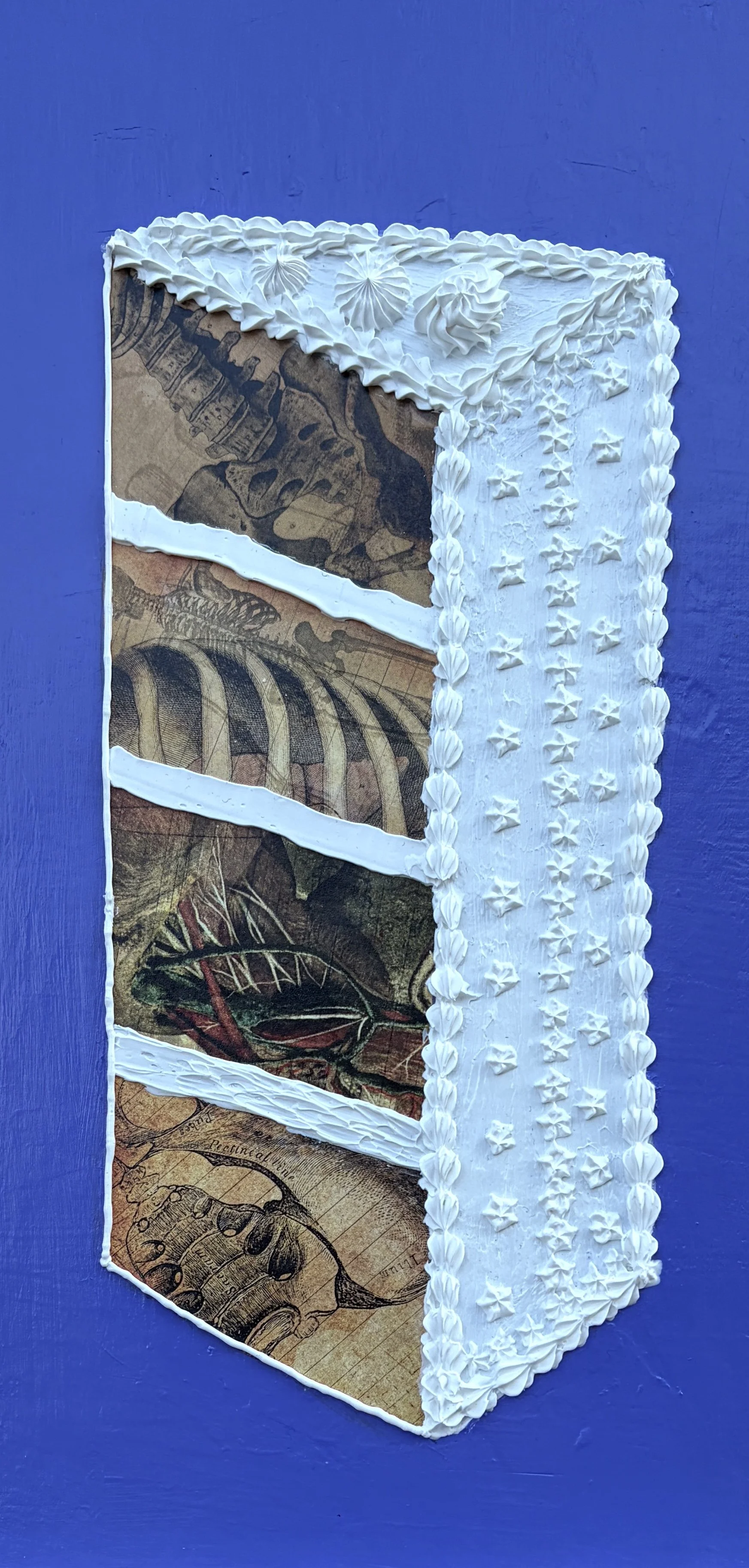 Innards (6"x12"x.75" mixed media on wood panel) $40