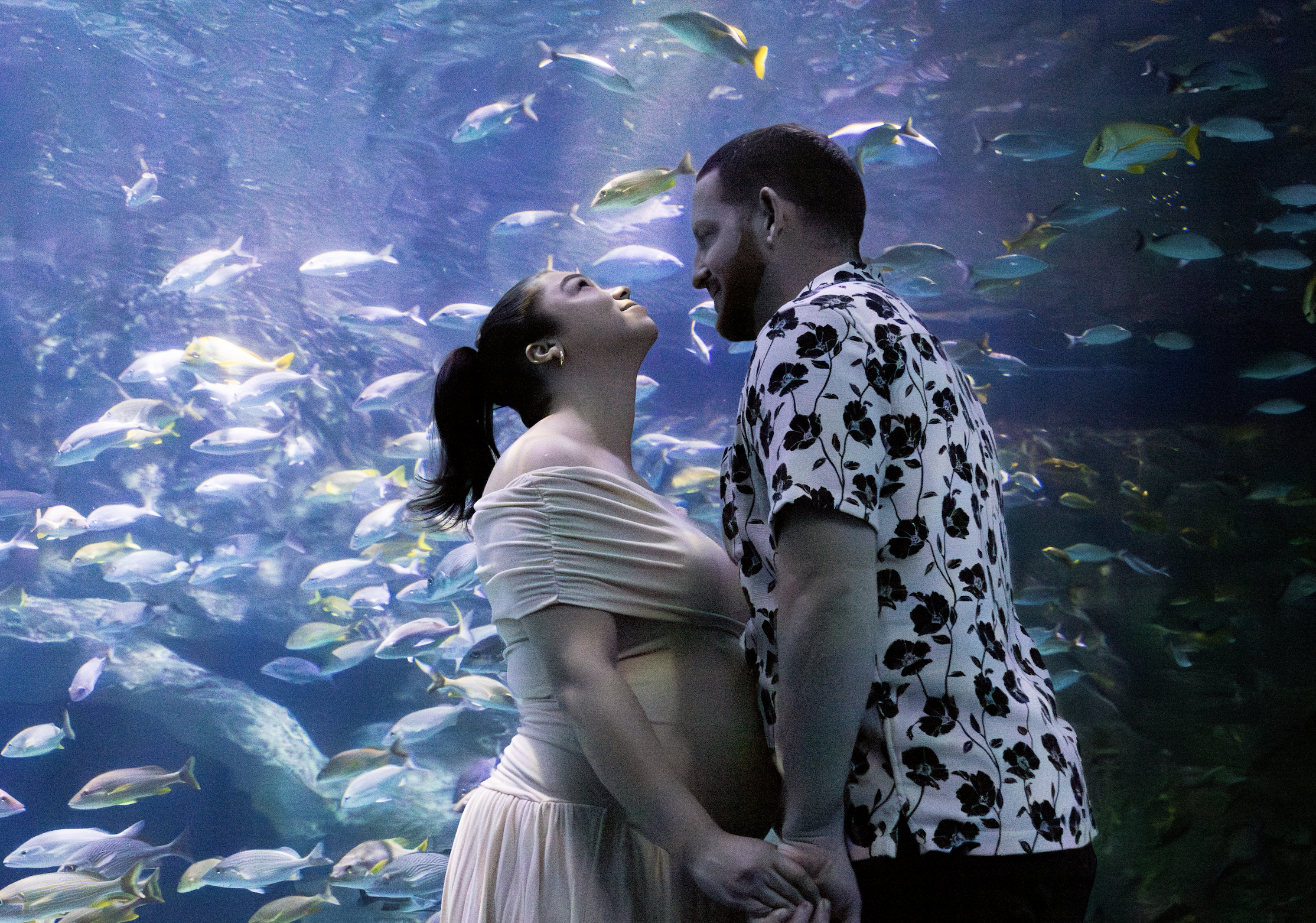 Screenshot 2024-08-12 at 01.04.57.png