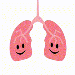 Untitled video (16).gif