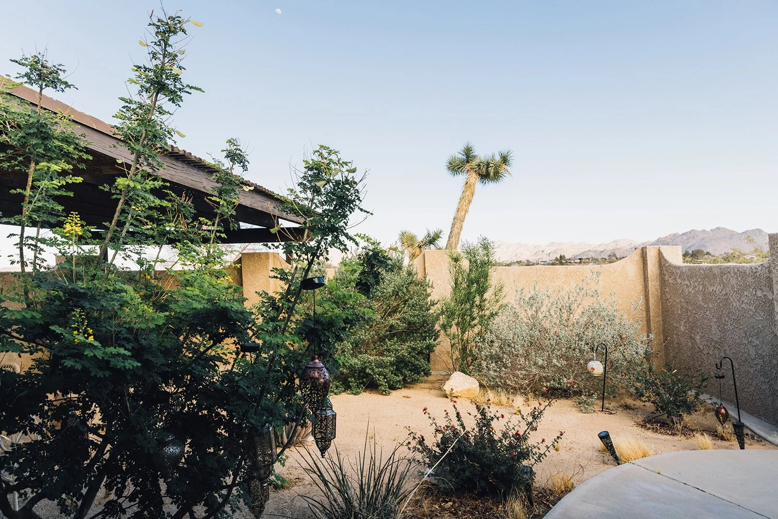 Joshua Tree Ext003.jpg