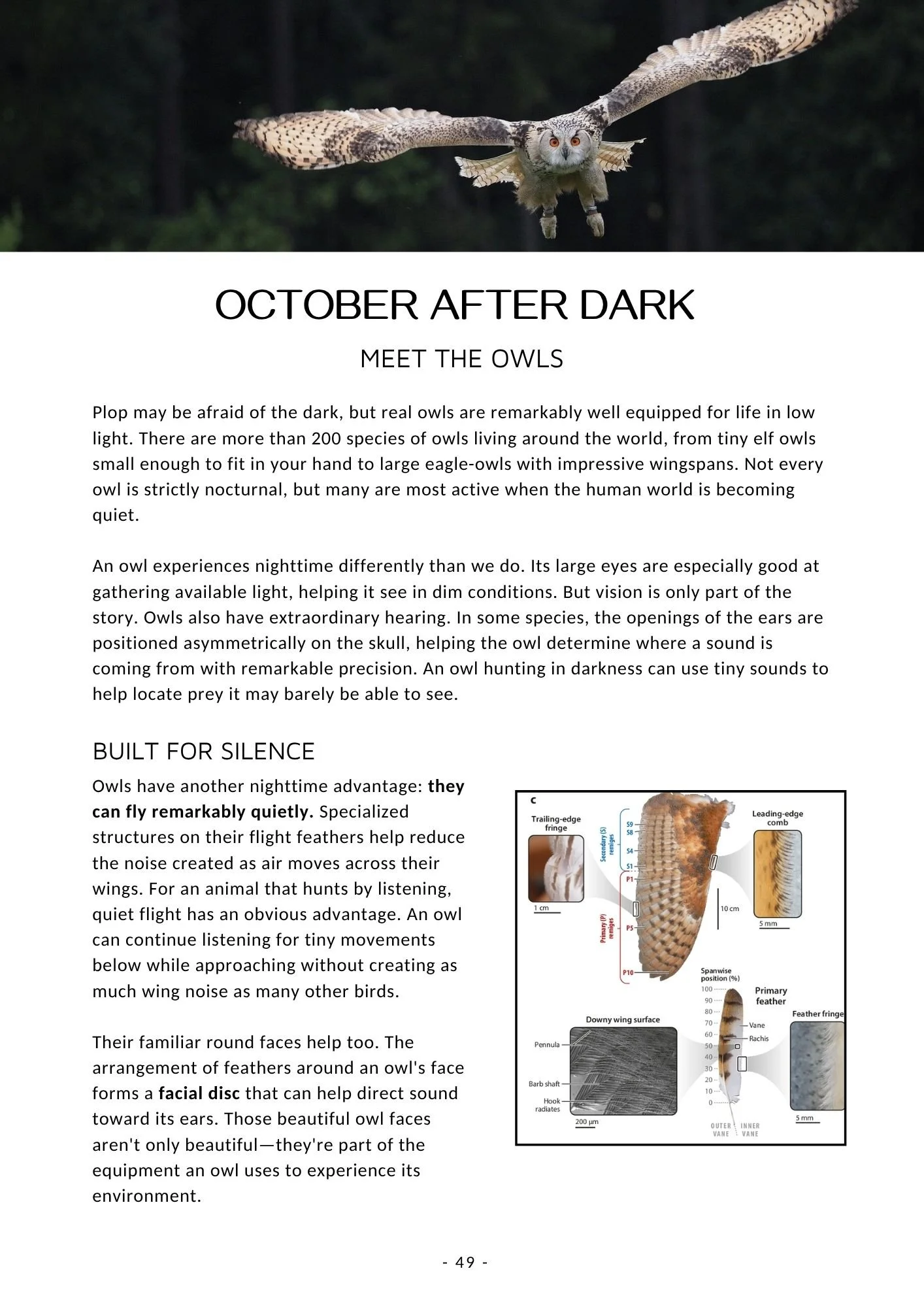 Monthly Curriculum - Oct The Darkening Night (10).jpg