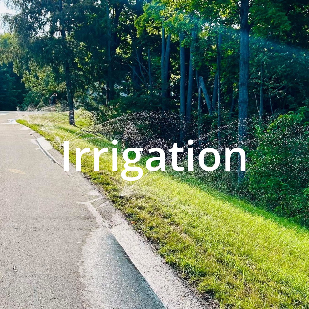 Before & After Hydroseeding.png