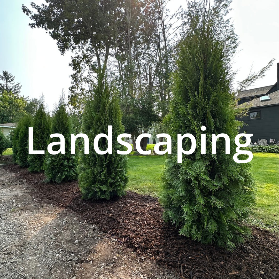 Before & After Hydroseeding.png