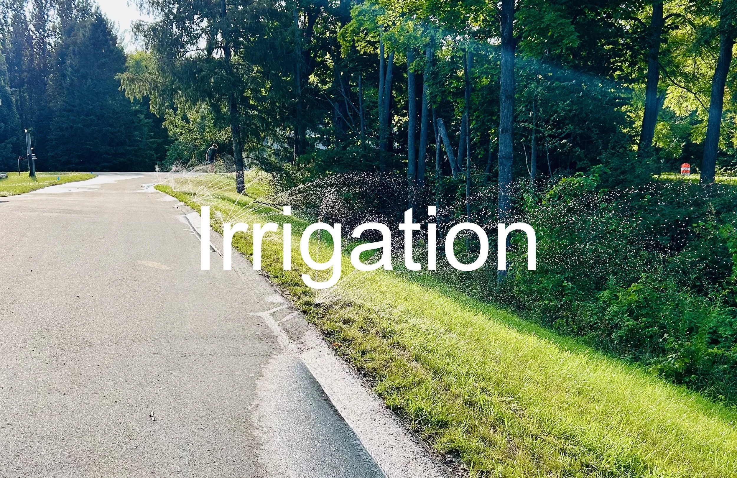 Irrigation.JPG