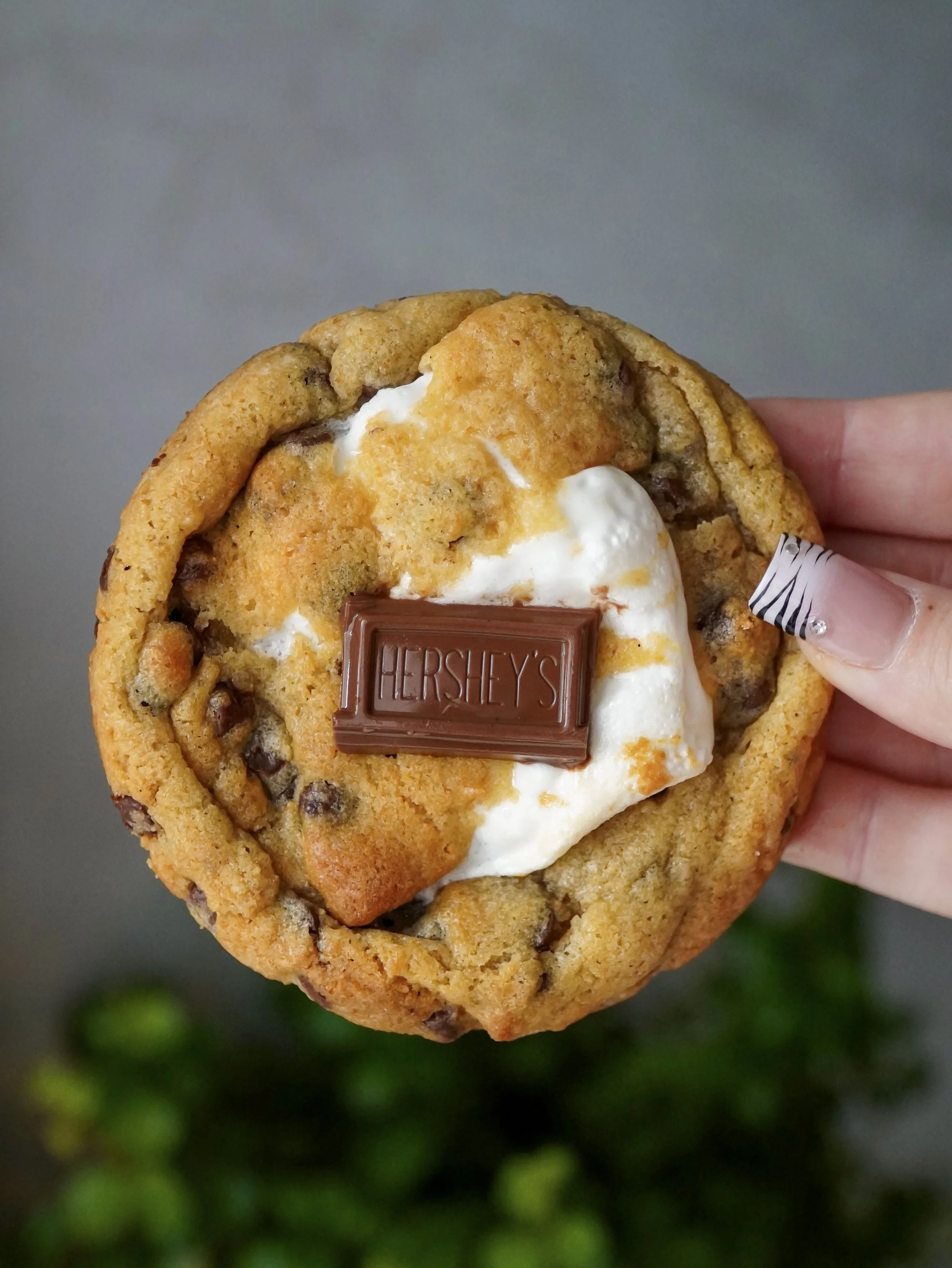 Freshly baked chocolate chip cookies on a baking sheet with parchment paper, topped with melting marshmallows, on a kitchen countertop with a lit candle, small potted plants, and a wooden backdrop.