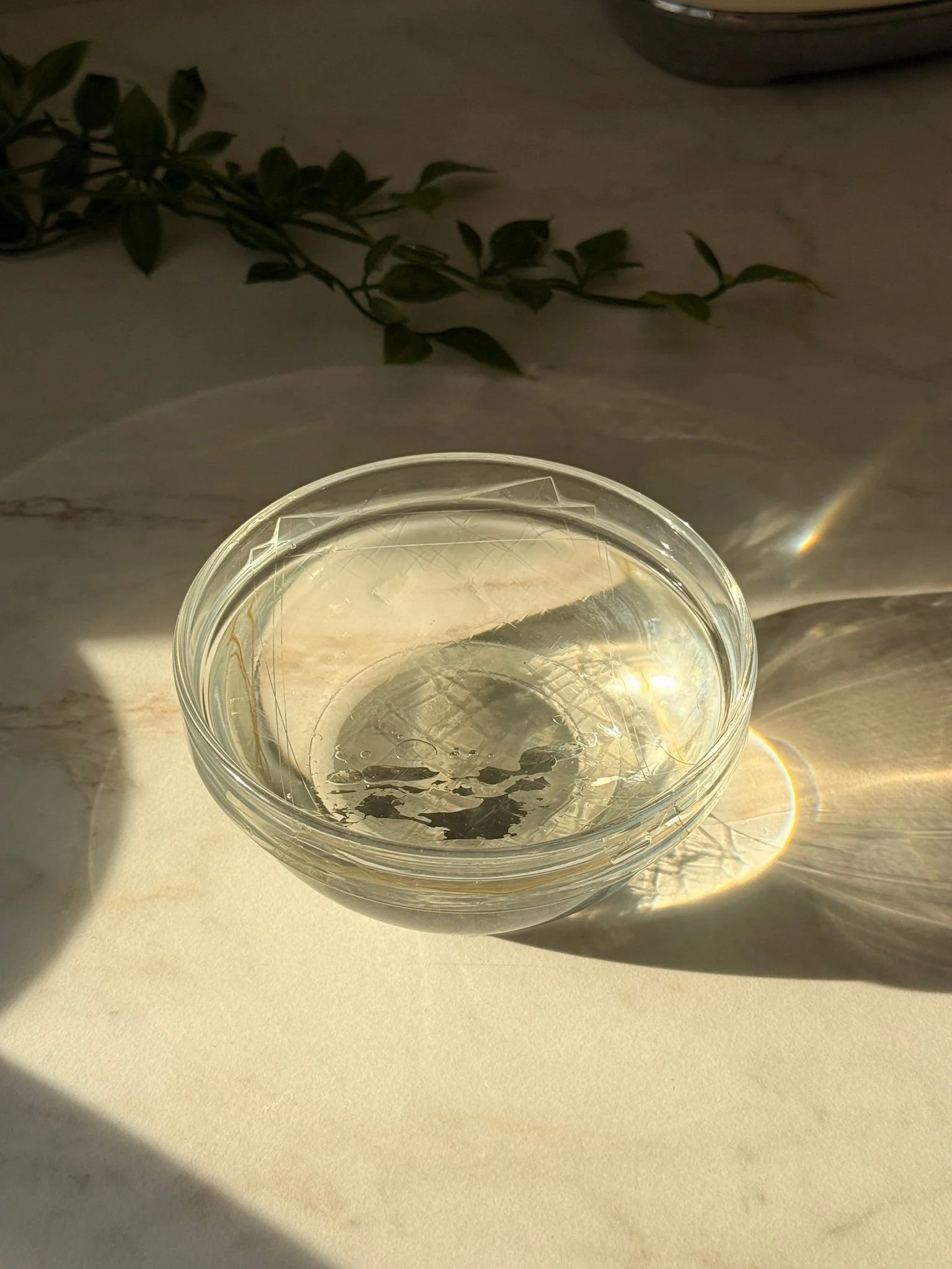 WhatsApp Image 2025-06-24 at 20.49.14_1a619284.jpg