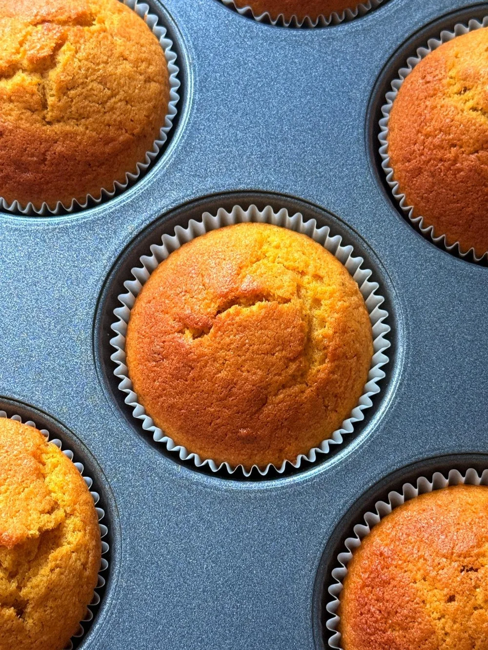 WhatsApp Image 2025-10-26 at 10.10.00_2274ac03.jpg