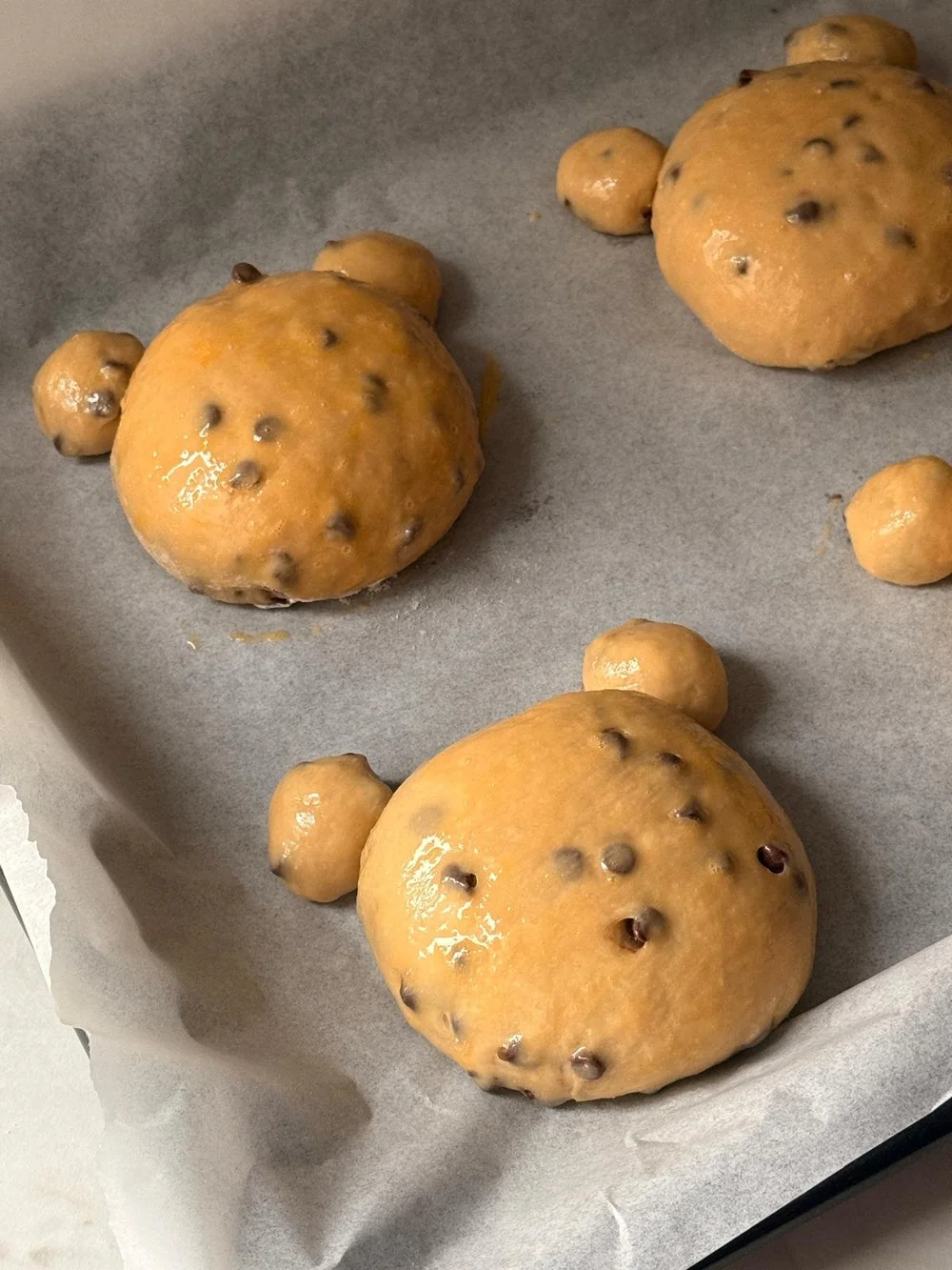 WhatsApp Image 2025-12-07 at 20.01.18_81a965e4.jpg