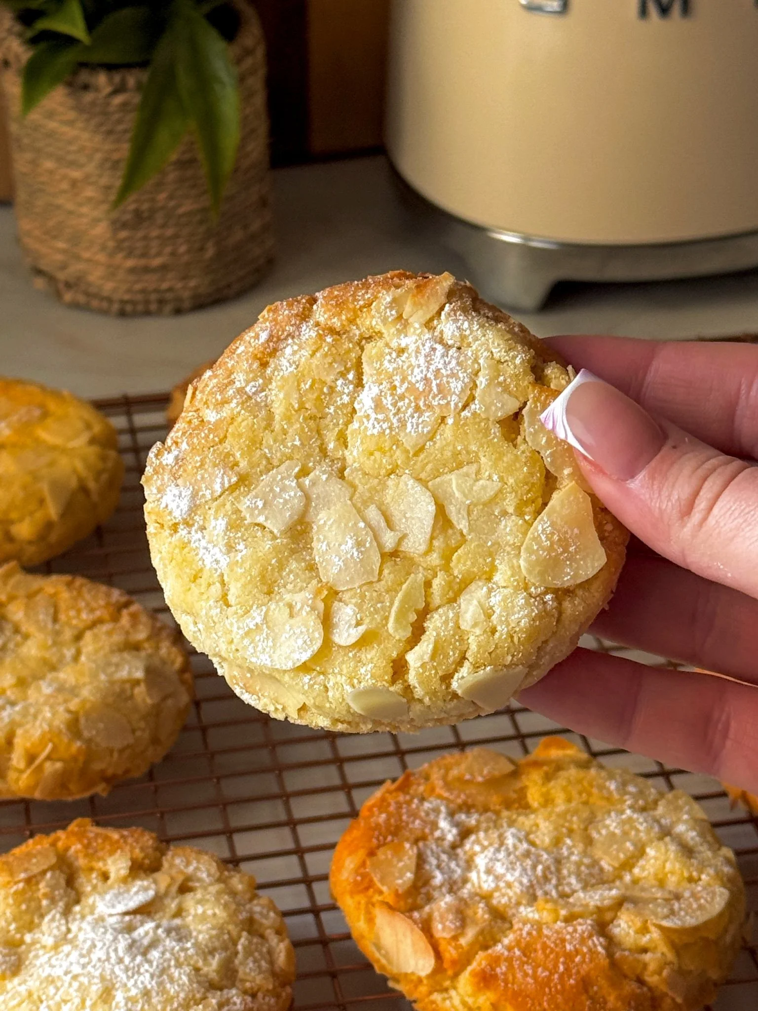 Almond Cookies