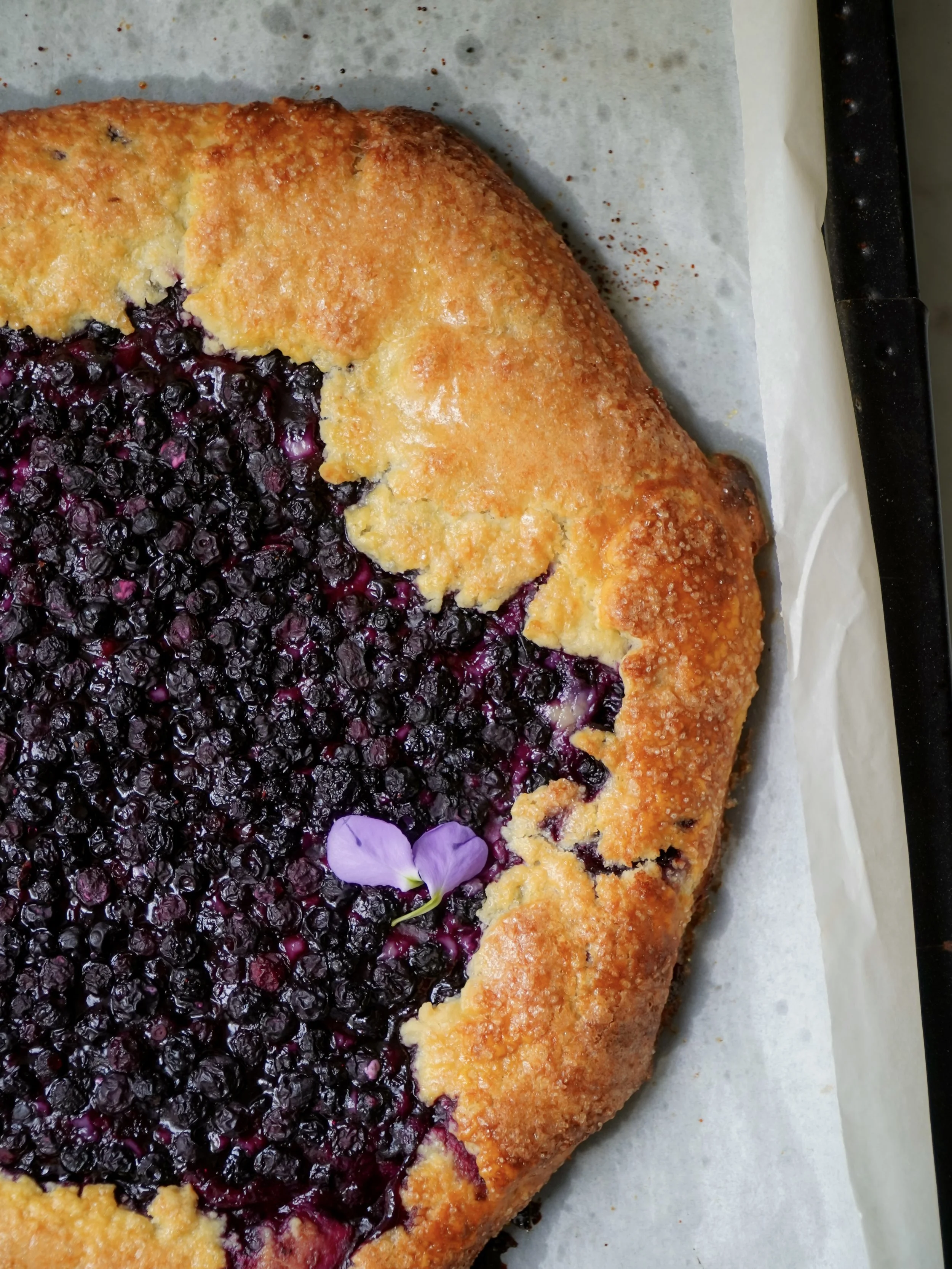 Blueberry Cheesecake Galette