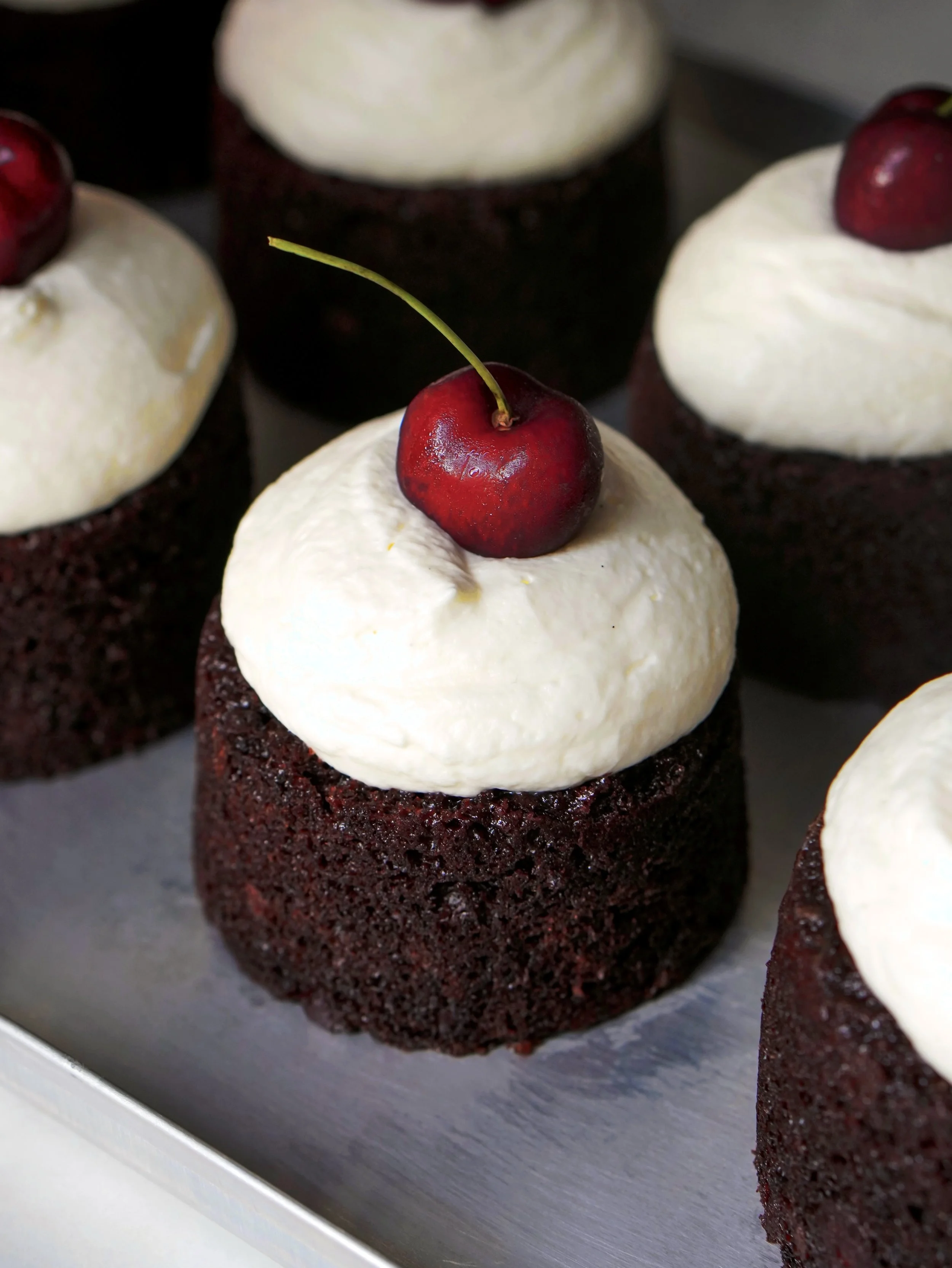 Black Forest Mini Cakes