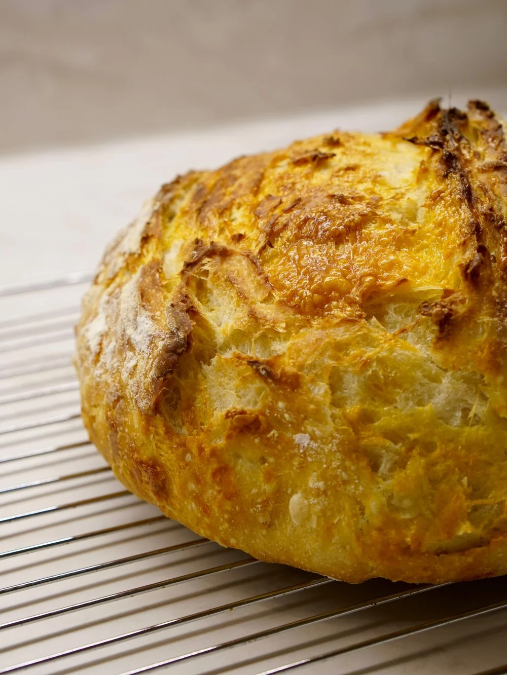 Cheddar Artisan Bread – No knead and Same day — Angie's Kitchen