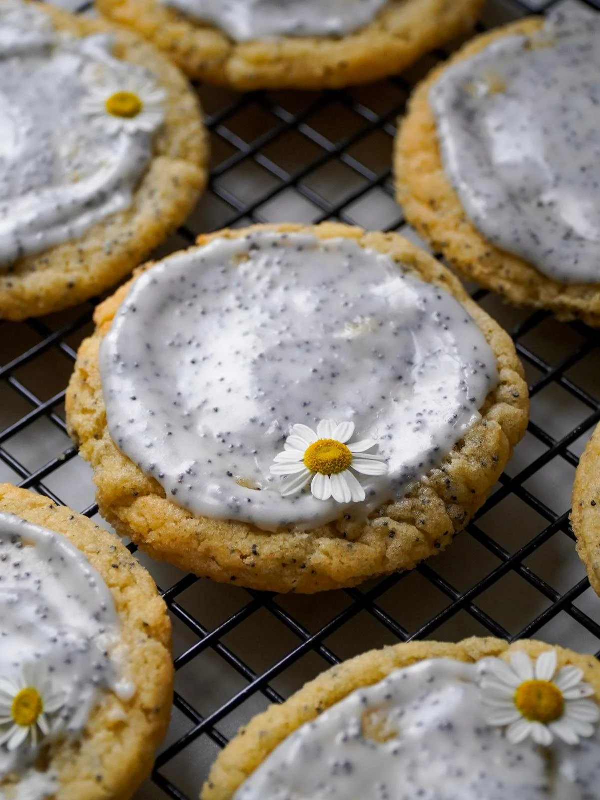 Lemon Poppy Seed Cookies