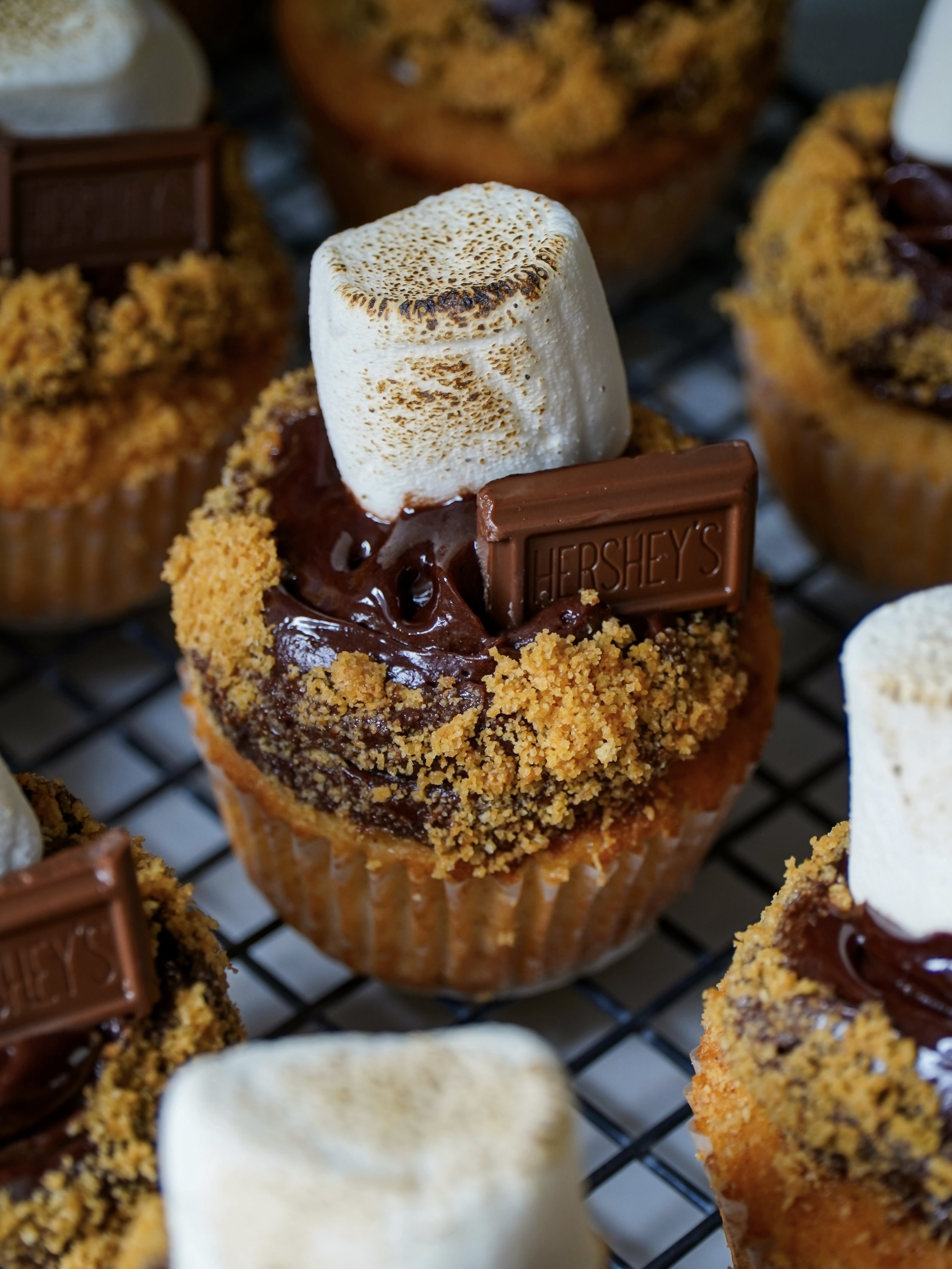 S’mores Cupcakes