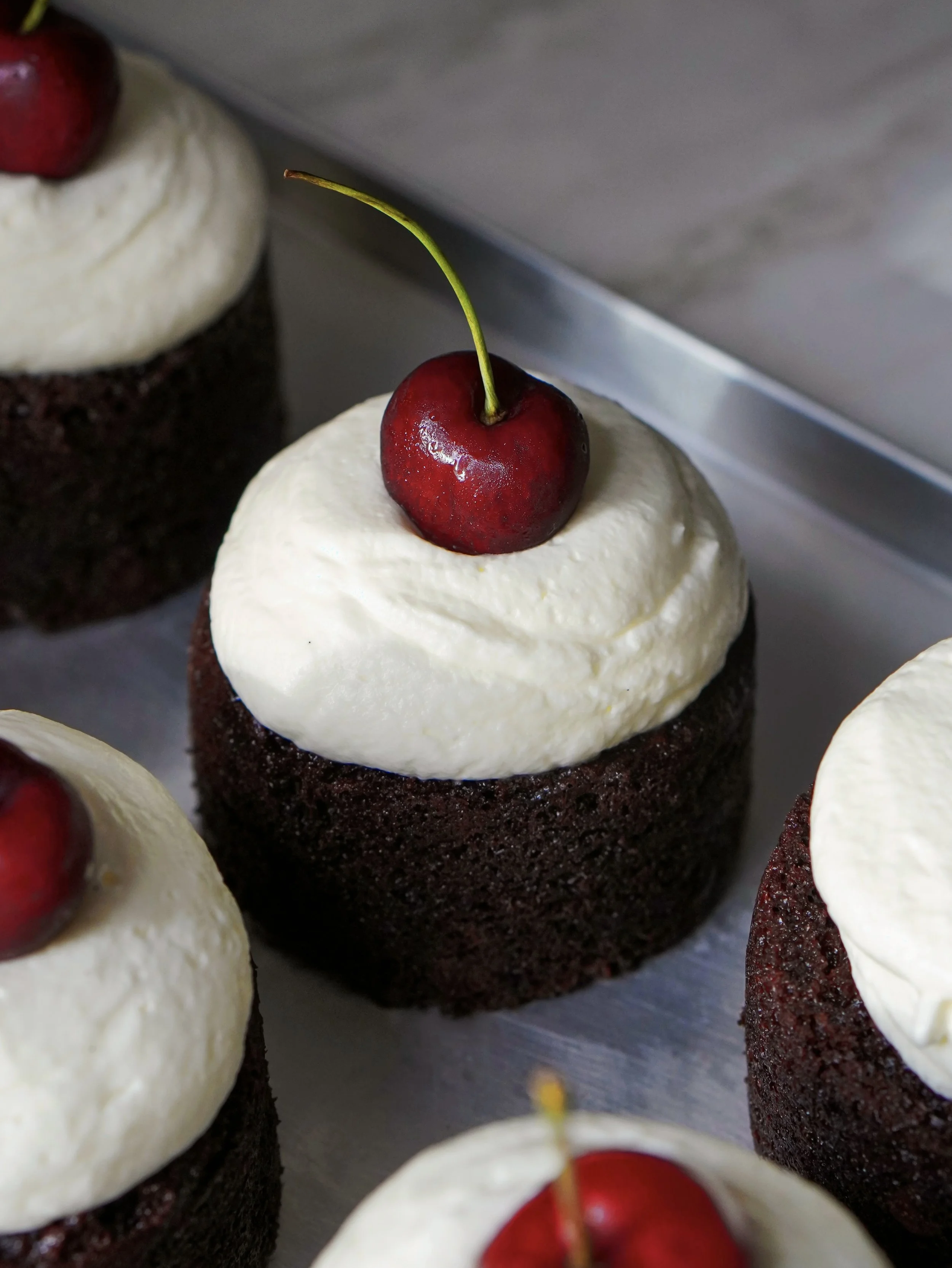 Black Forest Mini Cakes