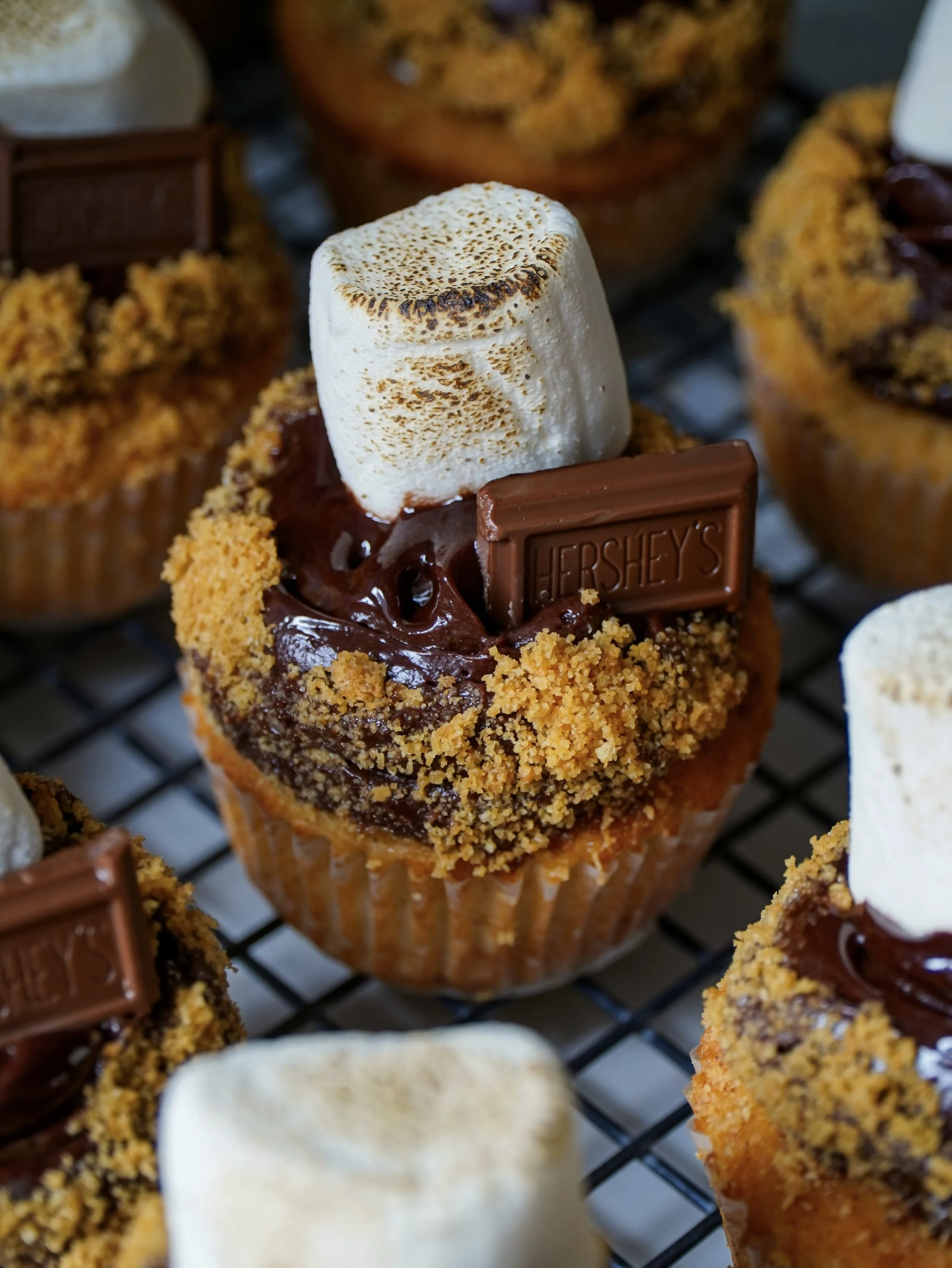 S'mores Cupcakes