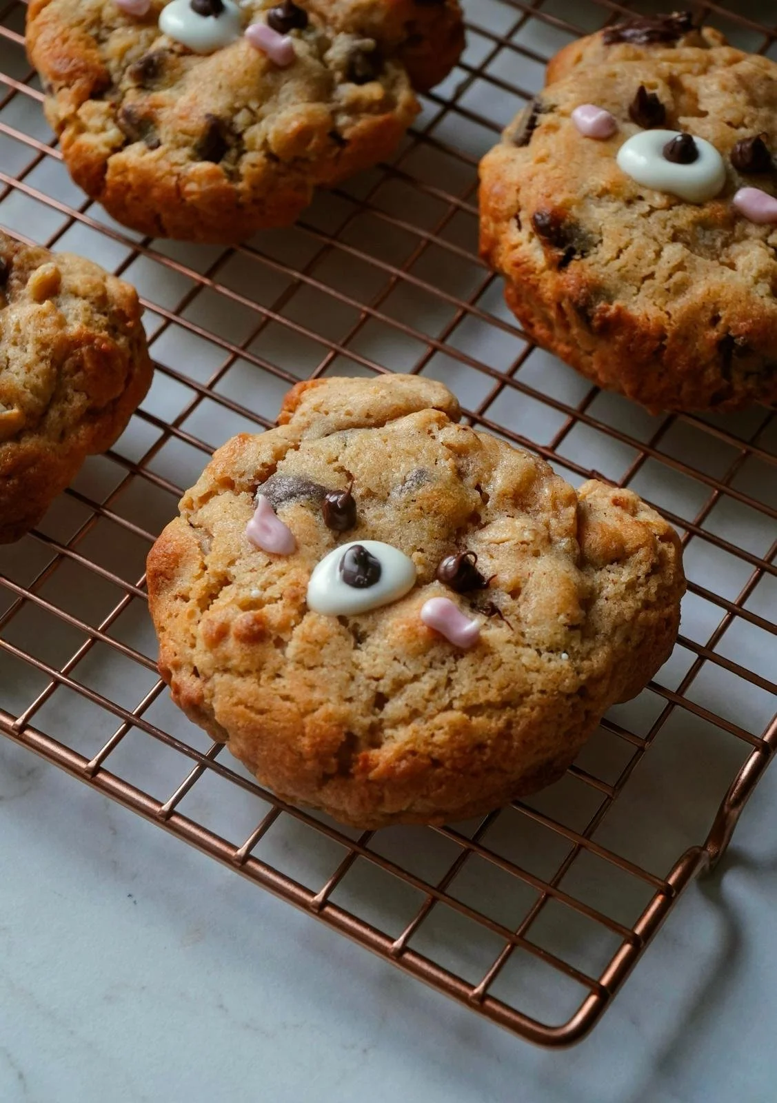 Teddy Bear Oatmeal Chocolate Chip Cookies