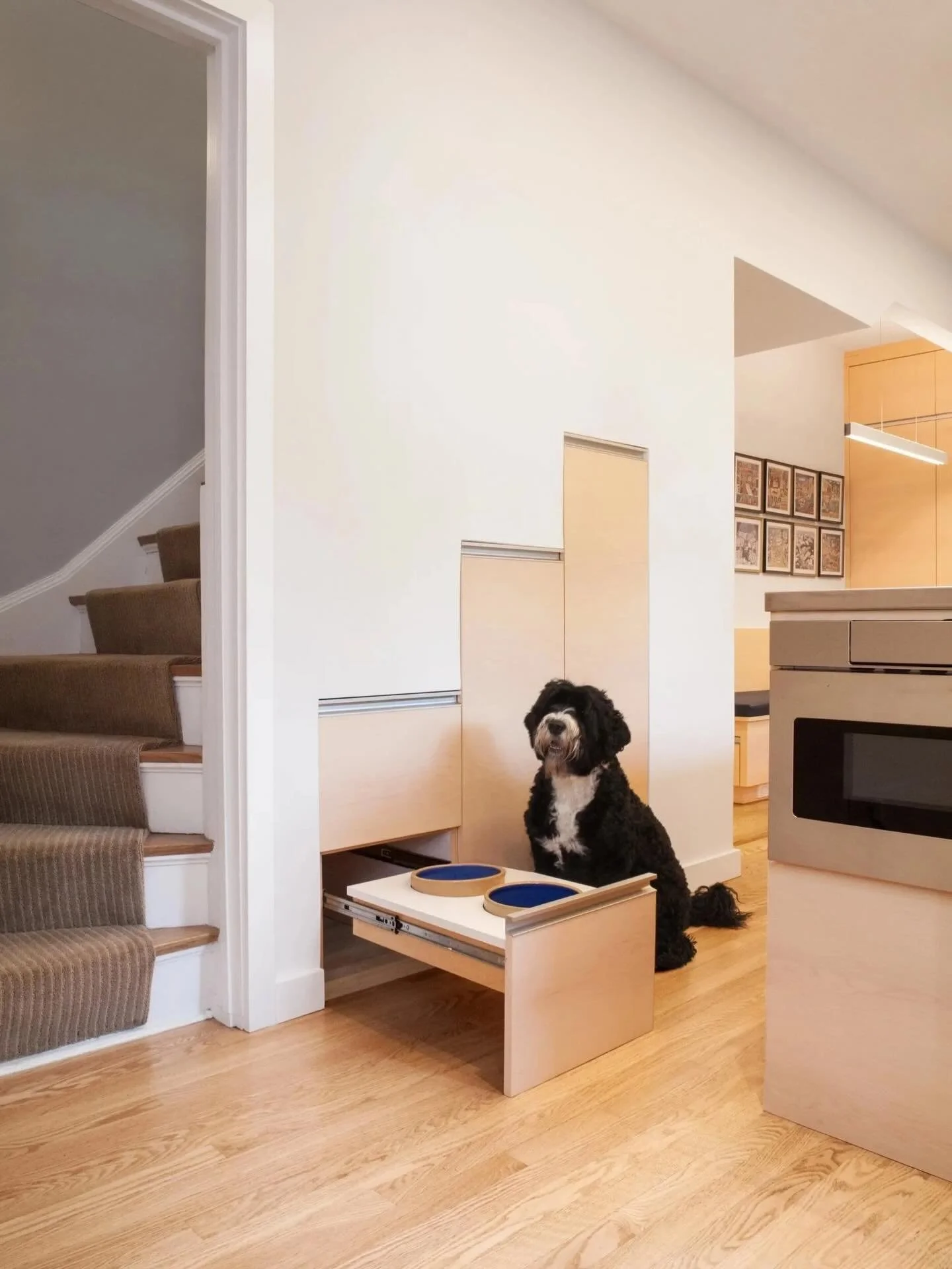 Your pets deserve to be included in the design decisions too!  We love this example of space-saving cabinetry that can be tucked away when not in use. 🐶
 
 
 
 
#jarllc #kitchendesign #kitchendecor #dog #petfriendly