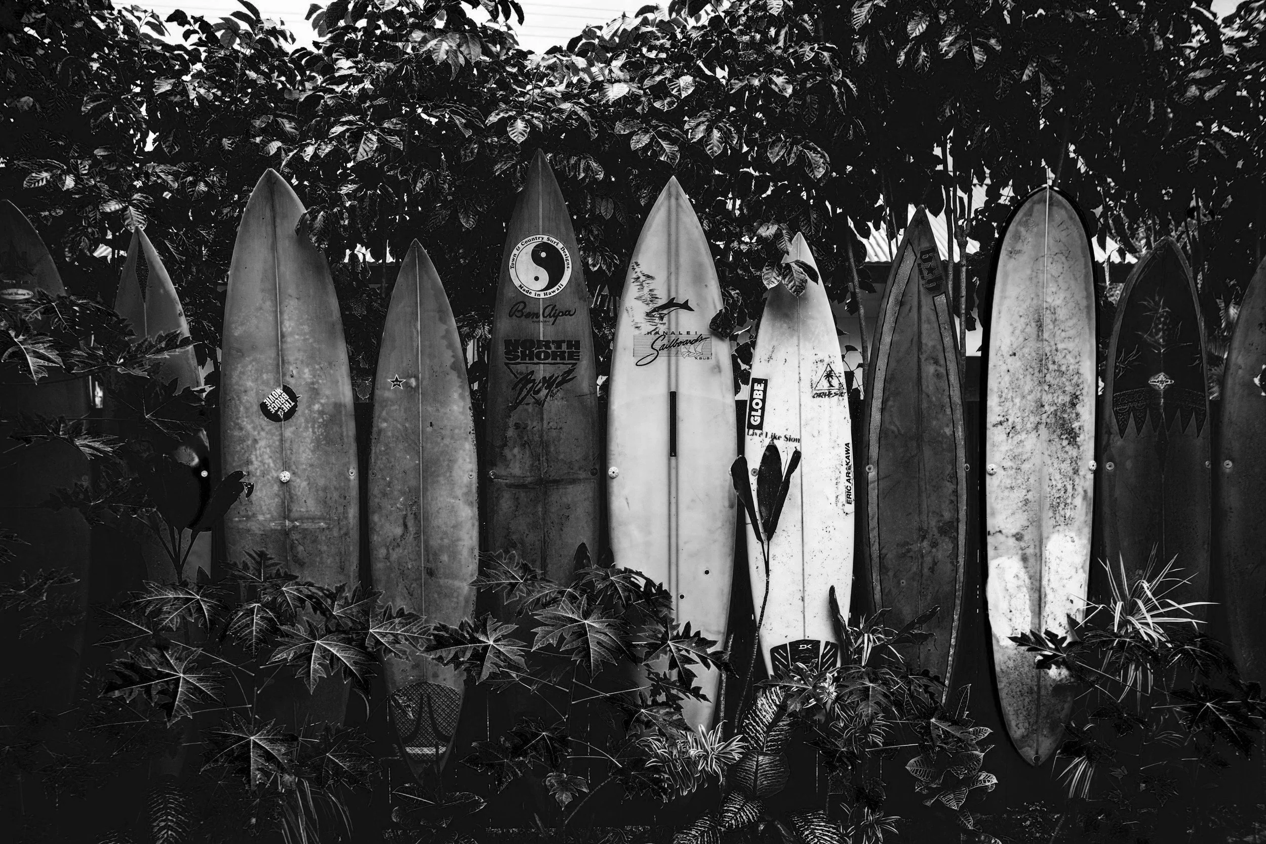 unsplash-image-FFCgotROOTY.jpg