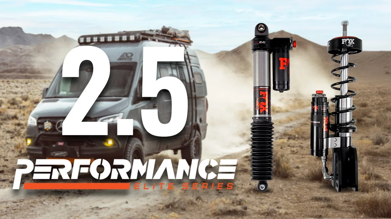 PE Fox thumb 3 final.jpg