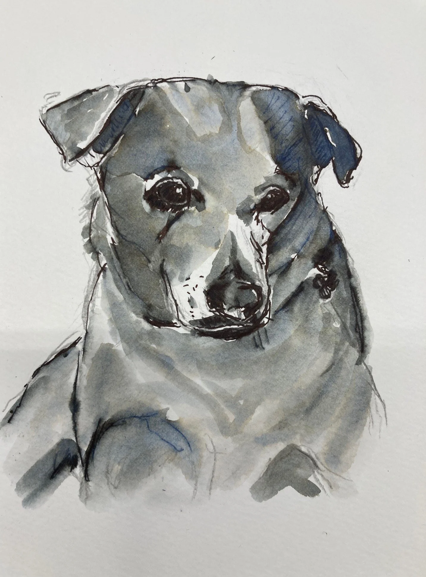 NEW – Ellie, Ink on Paper, 7”x5”