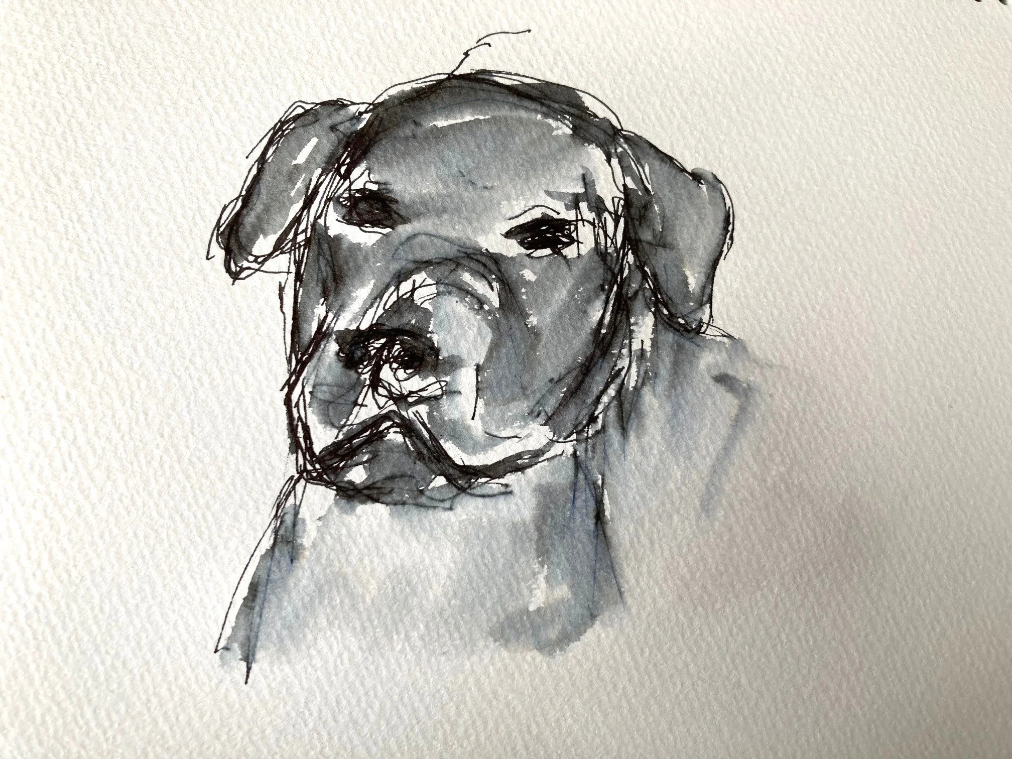 NEW – Strider, Ink on Paper, 7”x5”