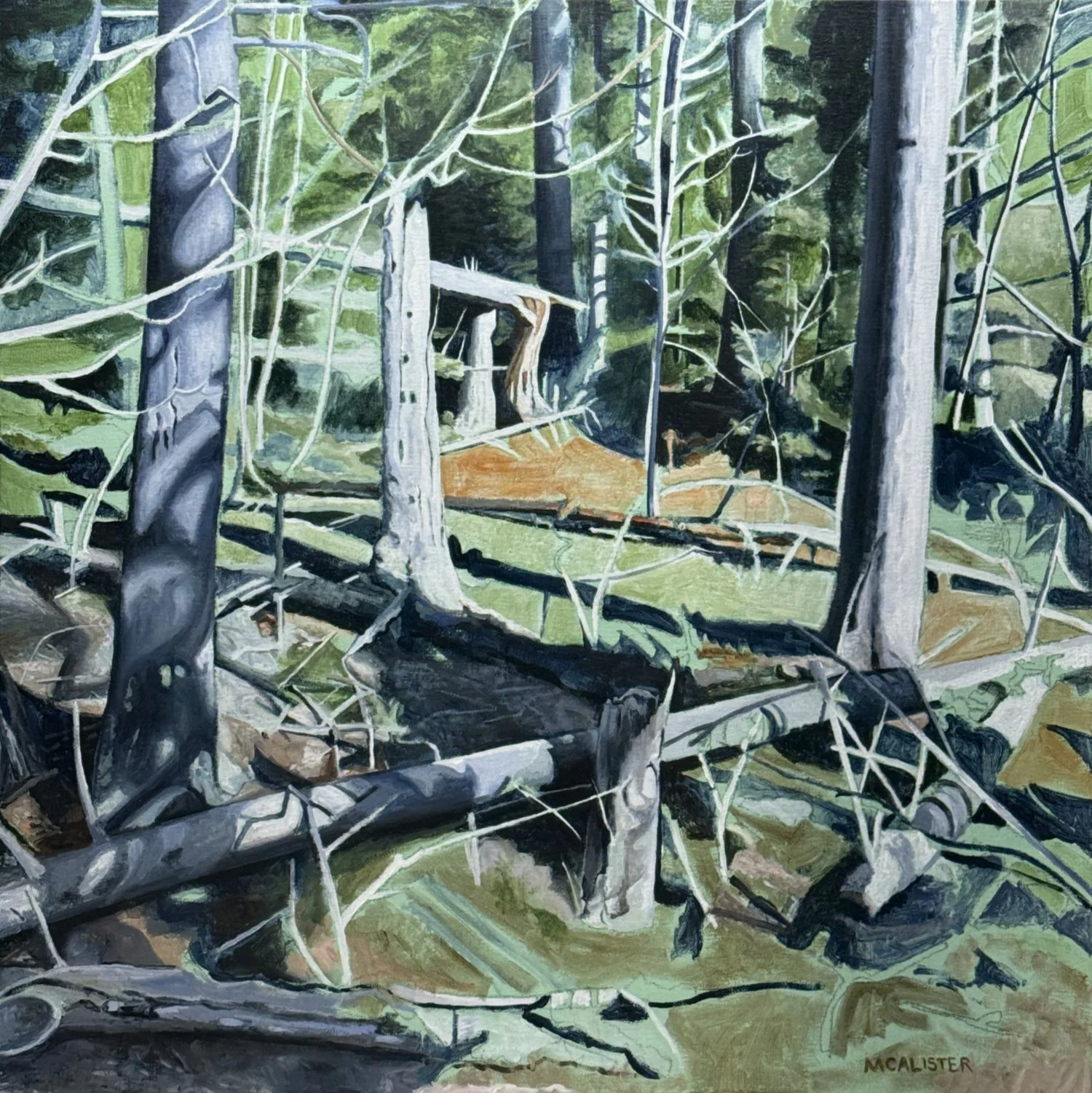 BOX TREES, ACRYLIC ON LINEN, 36" X 36"